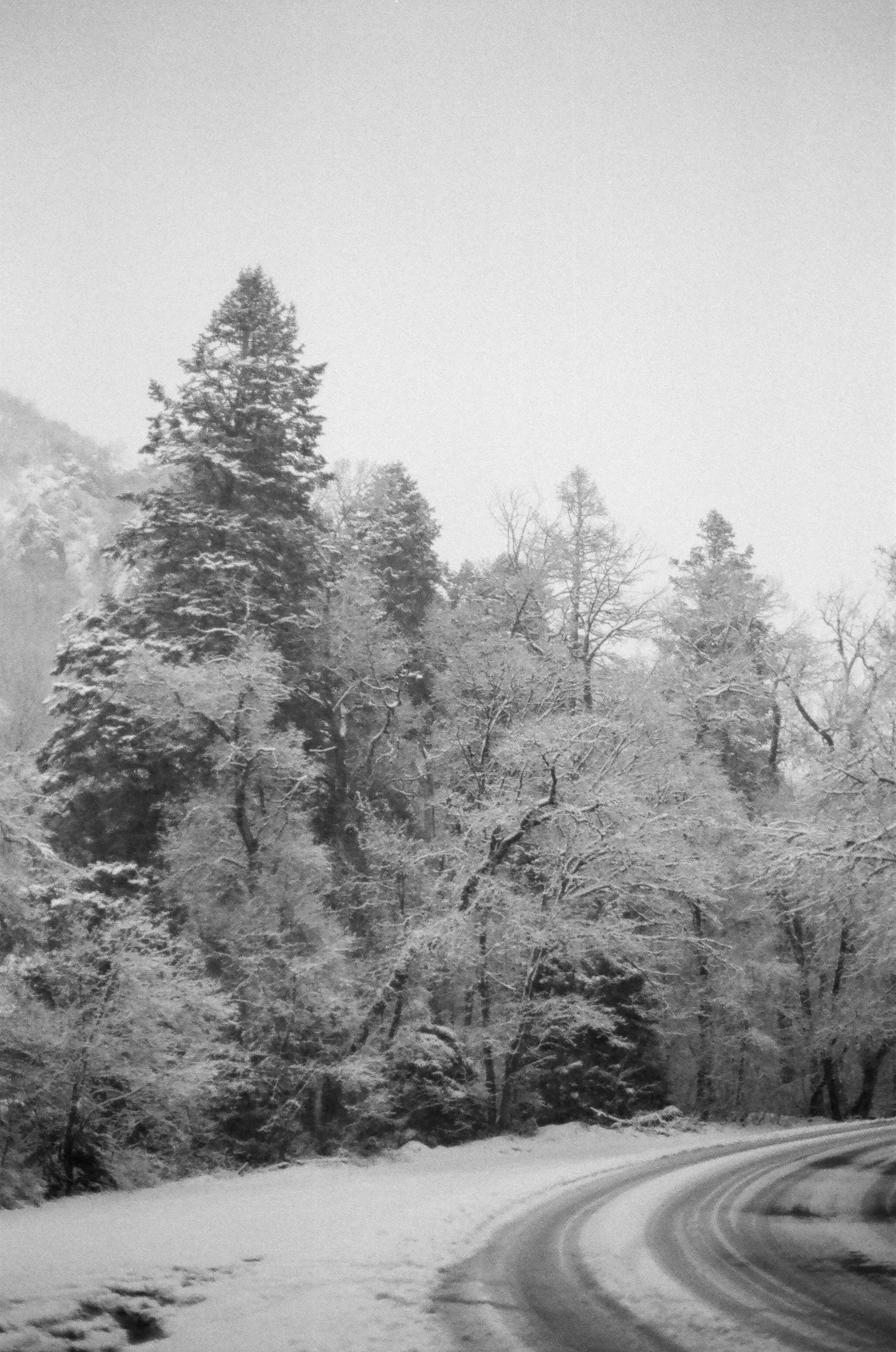 E-000340760013.jpg