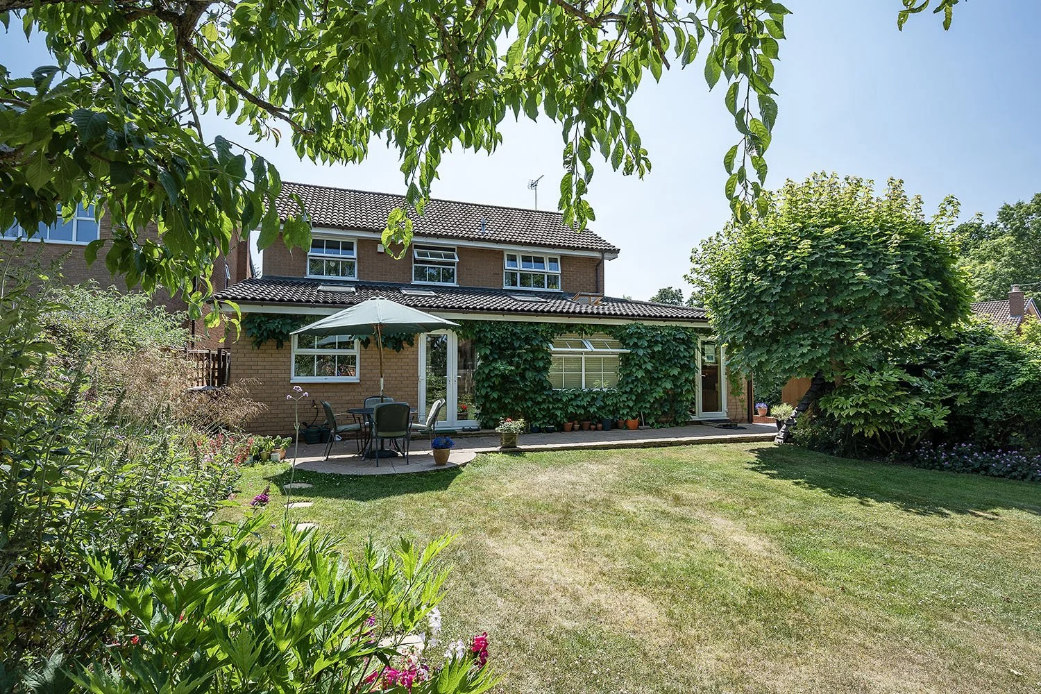 20HwkshdDreKnwleRv7s copy.jpg