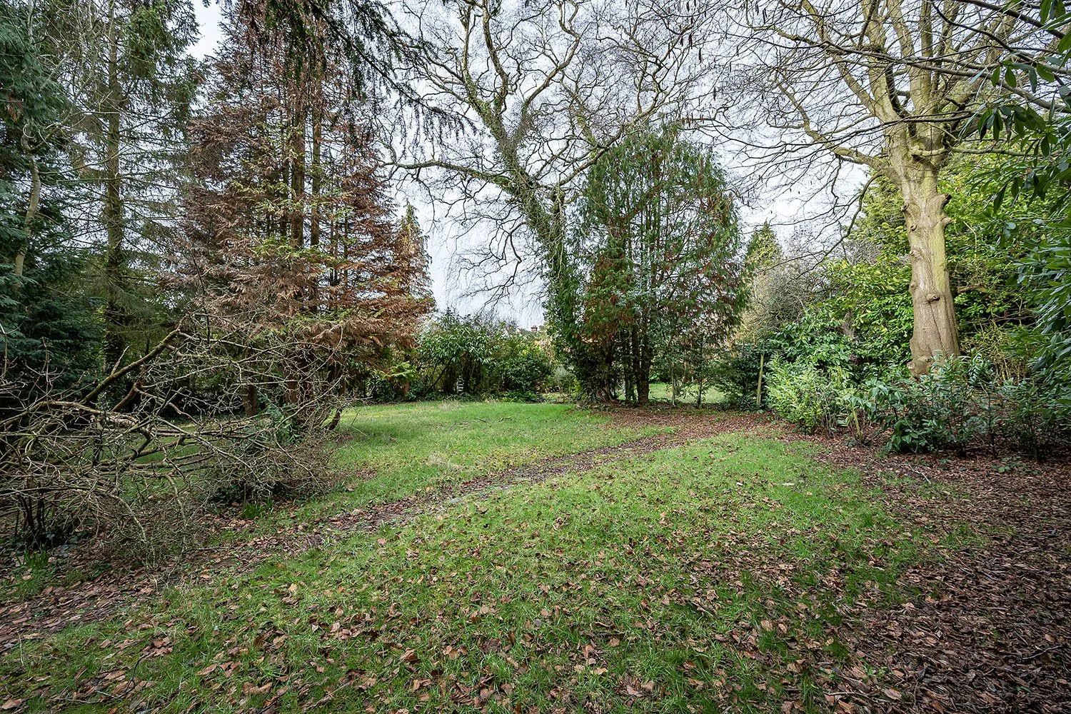 10BlythWySolGn4s copy.jpg