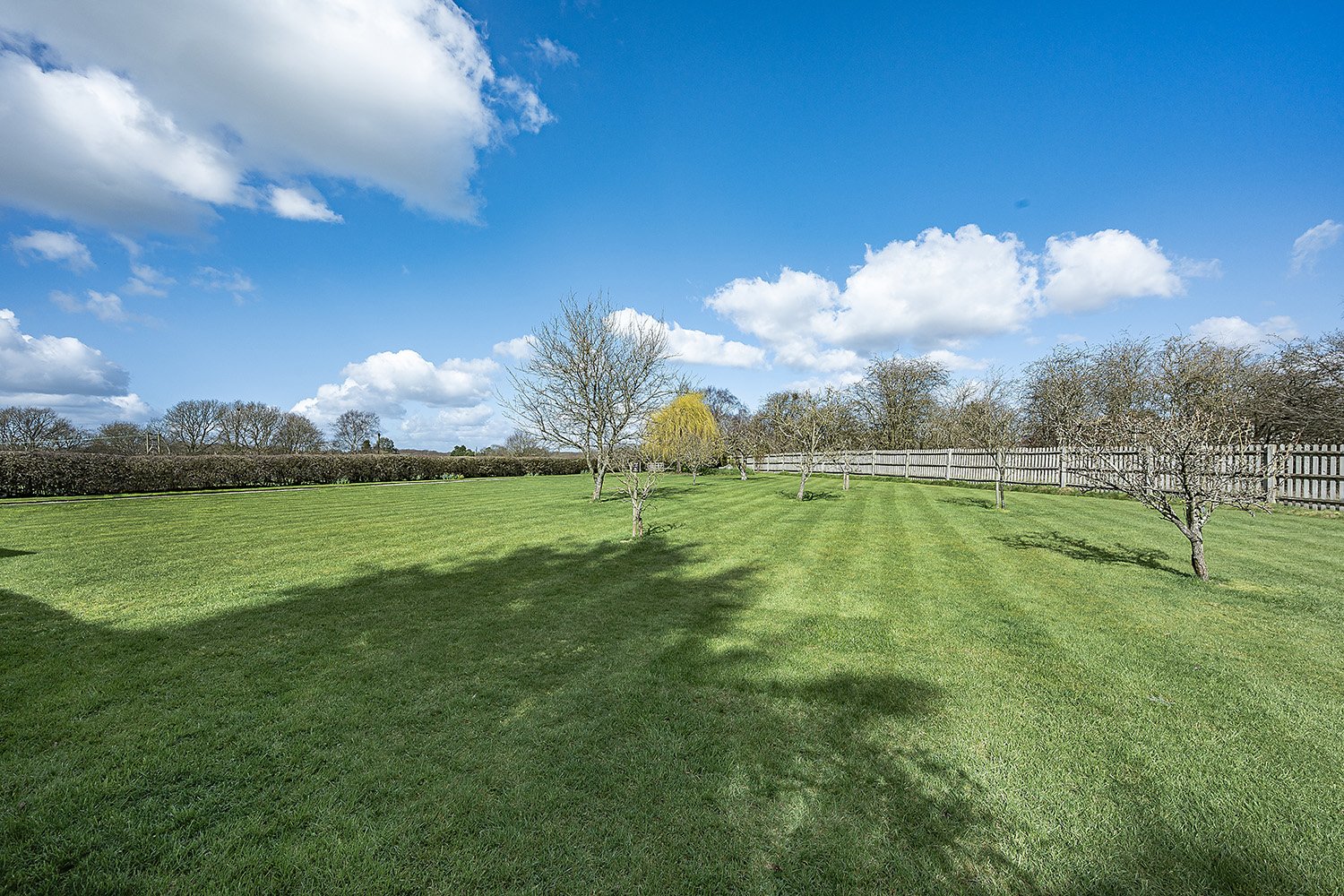 SprngbrookHseErlswdFo1s copy.jpg