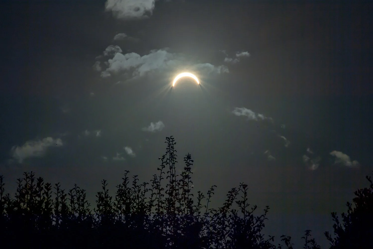 EclipseNightBarston1s copy.jpg