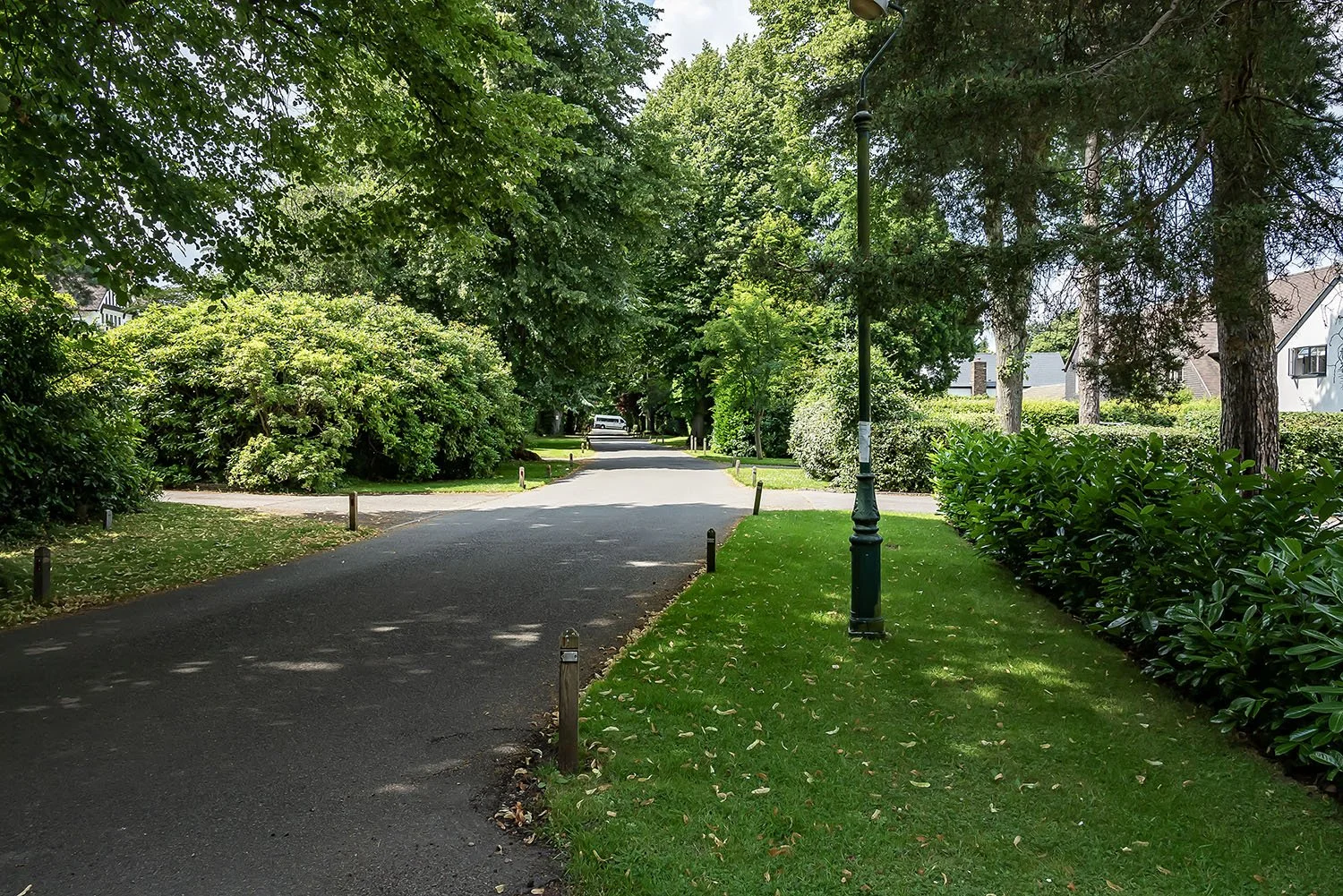 19TheCresHmptnnInArdnFo2s copy.jpg