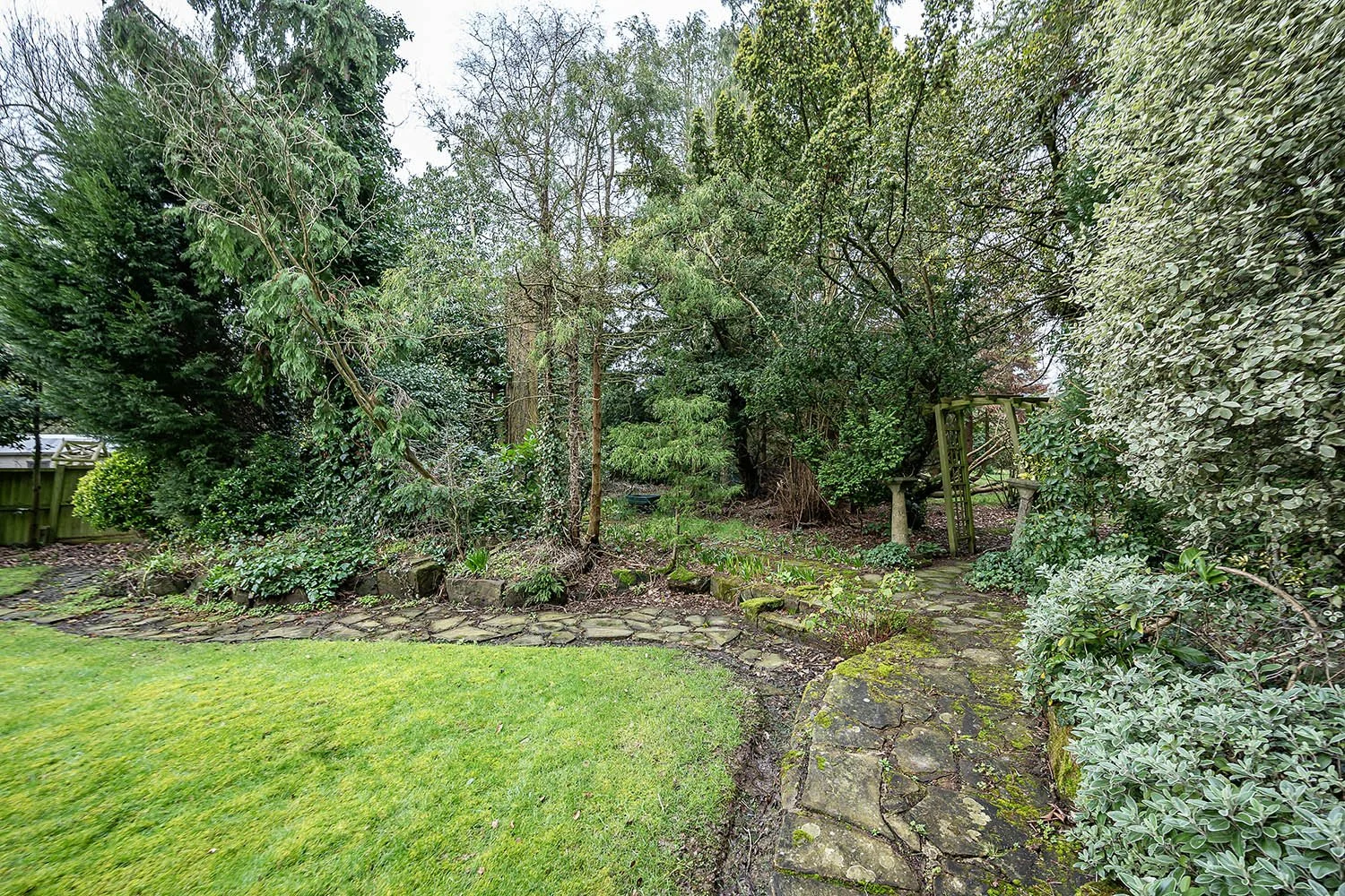 10BlythWySolGn3s copy.jpg