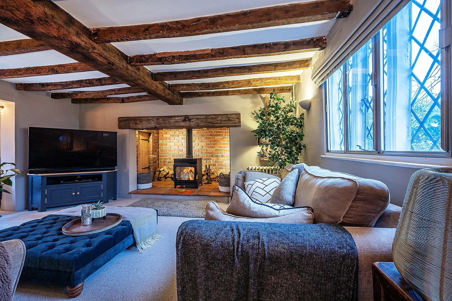 WalnutTreeCottSolLv2s copy.jpg