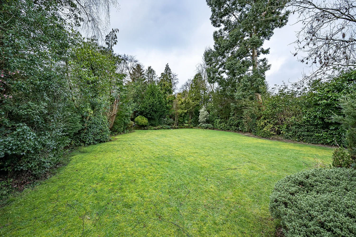 10BlythWySolGn2s copy.jpg