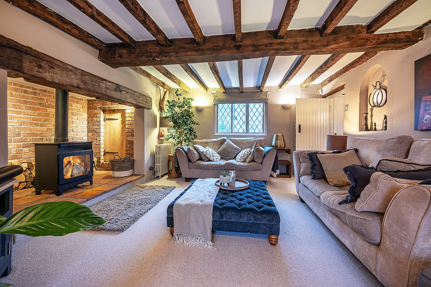 WalnutTreeCottSolLv5s copy.jpg