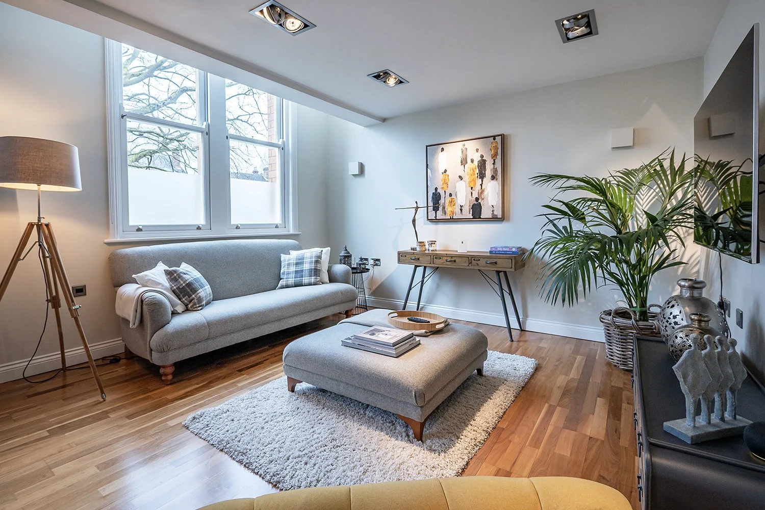 Apt21ThMnorHseLmngtnSpLv2s copy.jpg