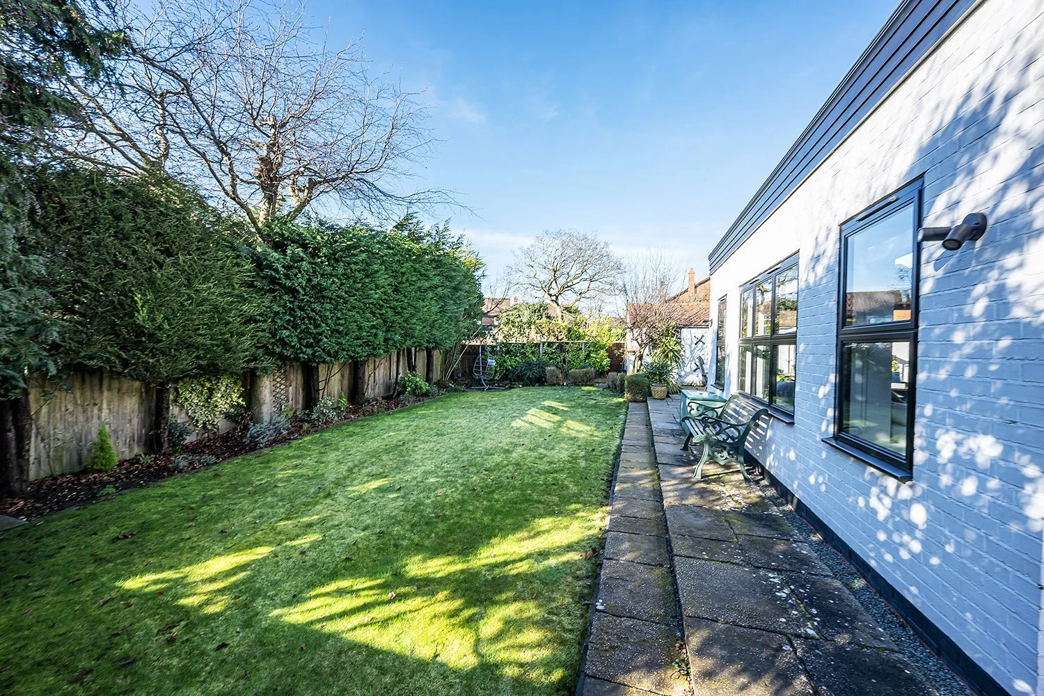 WalnutTreeCottSolGn2s copy.jpg