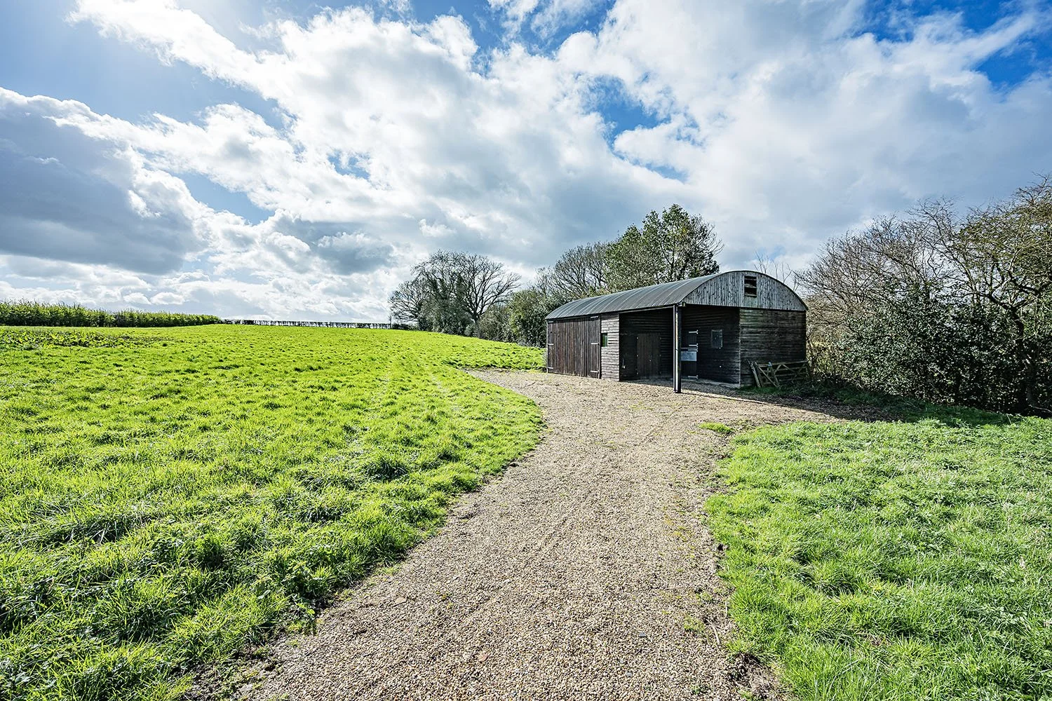 FoxhillGrngBallComnPk1s copy.jpg