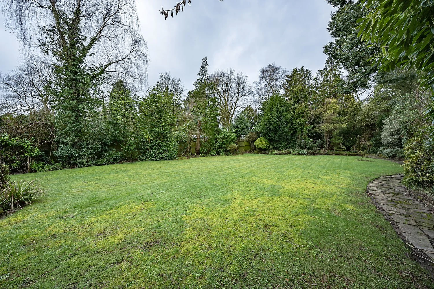 10BlythWySolGn9s copy.jpg