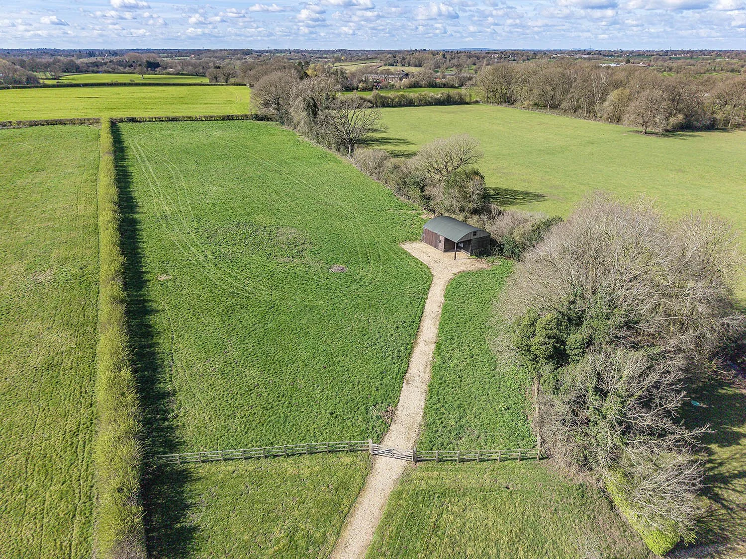 FoxhillGrngBallComnHv12s copy.jpg