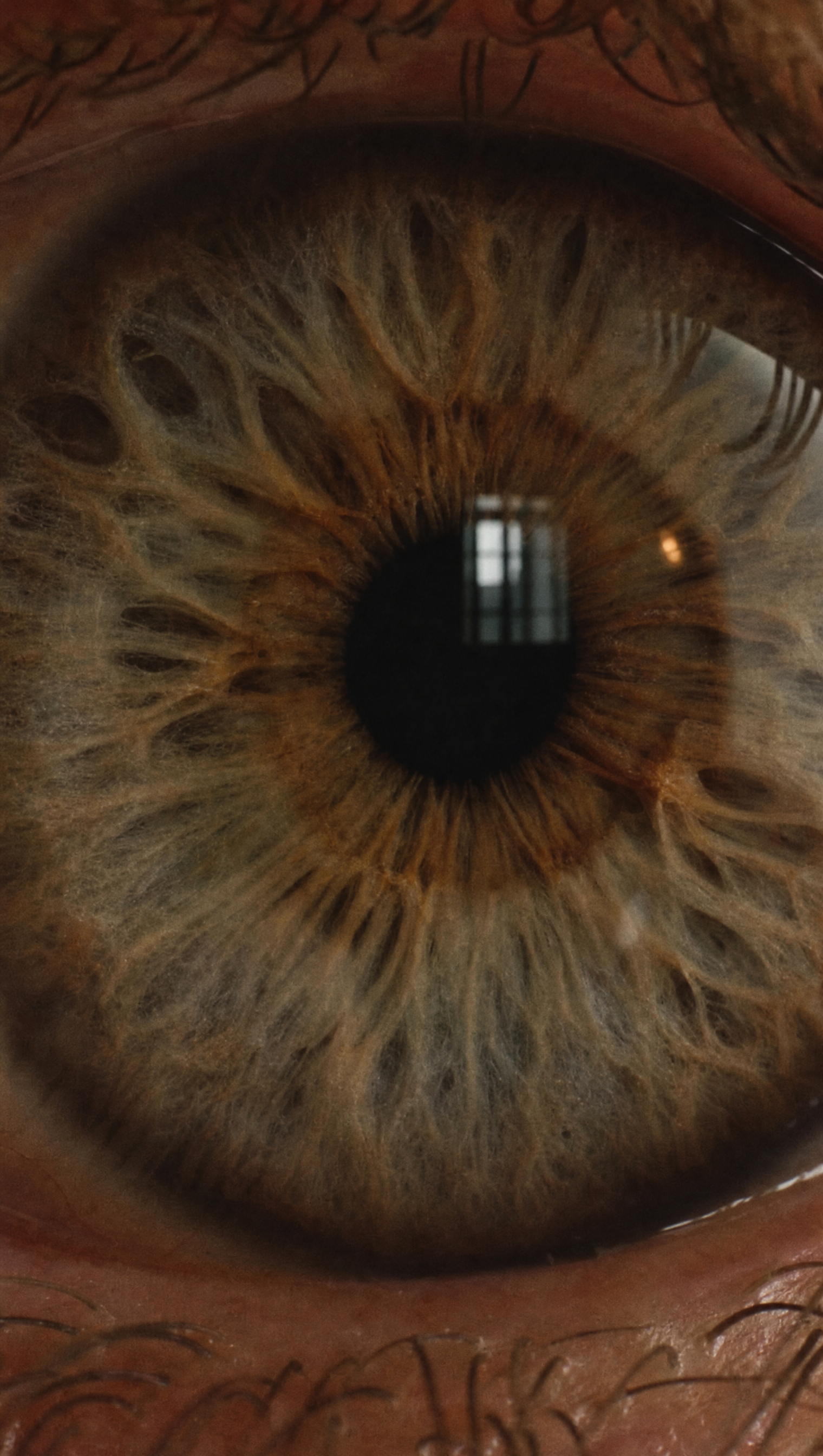 ebandp_mobile_eye.png