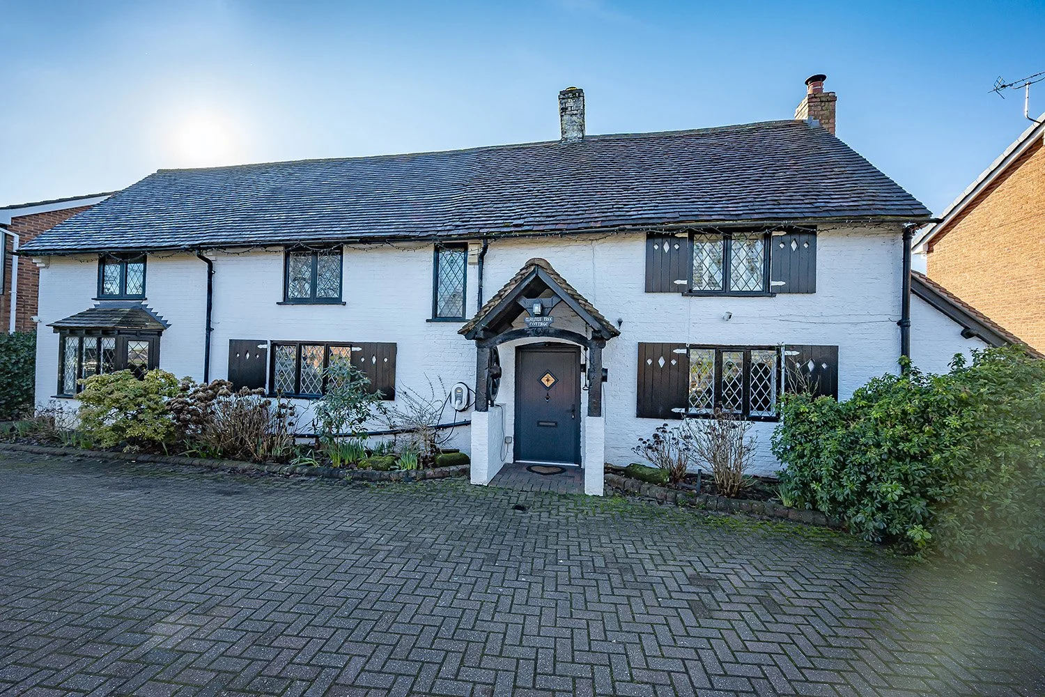 WalnutTreeCottSolFv1s copy.jpg