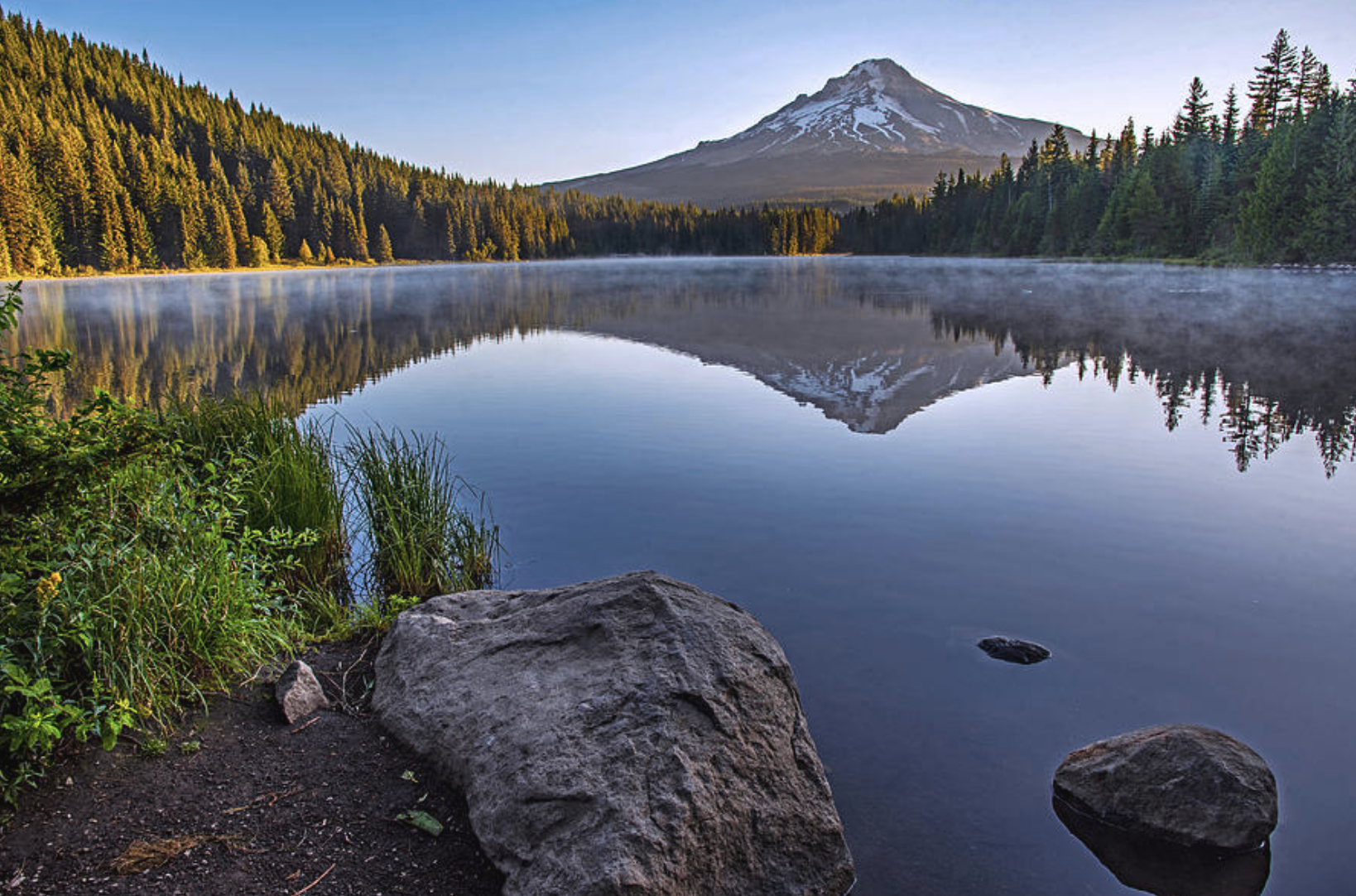 Screen Shot 2020-01-20 at 2.41.14 PM.png