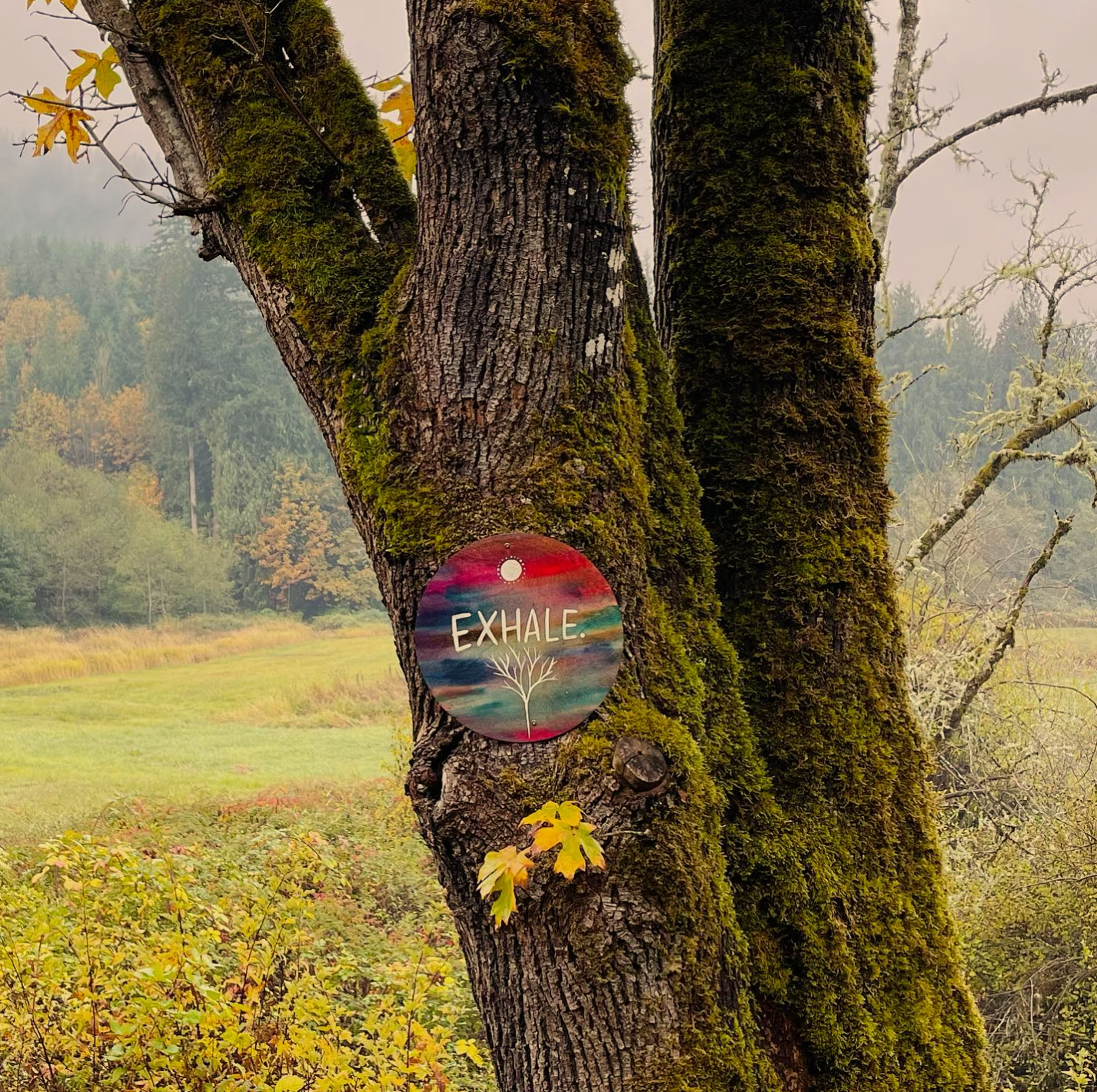 Screenshot 2026-04-06 at 2.04.12 PM.png