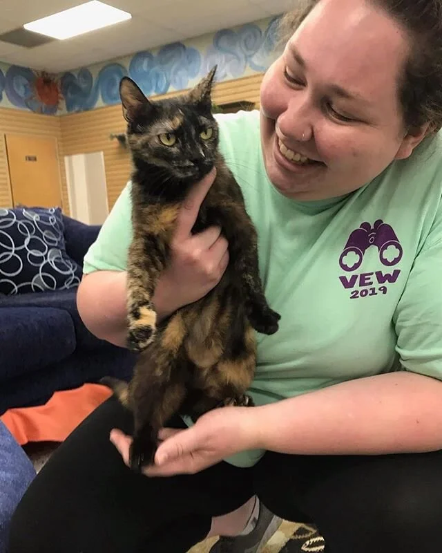 Congratulations to Steph and your new family!
Steph has been patiently waiting for her human to come in. As you may know she loves attention and likes to follow you around while going live😽  She is one that was surrendered from Alabama and we are so excited for her to go home 🏡 ❤ 
Congratulations to you both!  And Congratulations to Helo!
Helo came in with his brother Hotdog just a few days ago. Well Hotdog was adopted by this lovely couple. Just days later they realized how sweet it would be to keep these brothers together.  Well they came back and got his brother and are keeping them together for life 💓 congratulations to all of you!