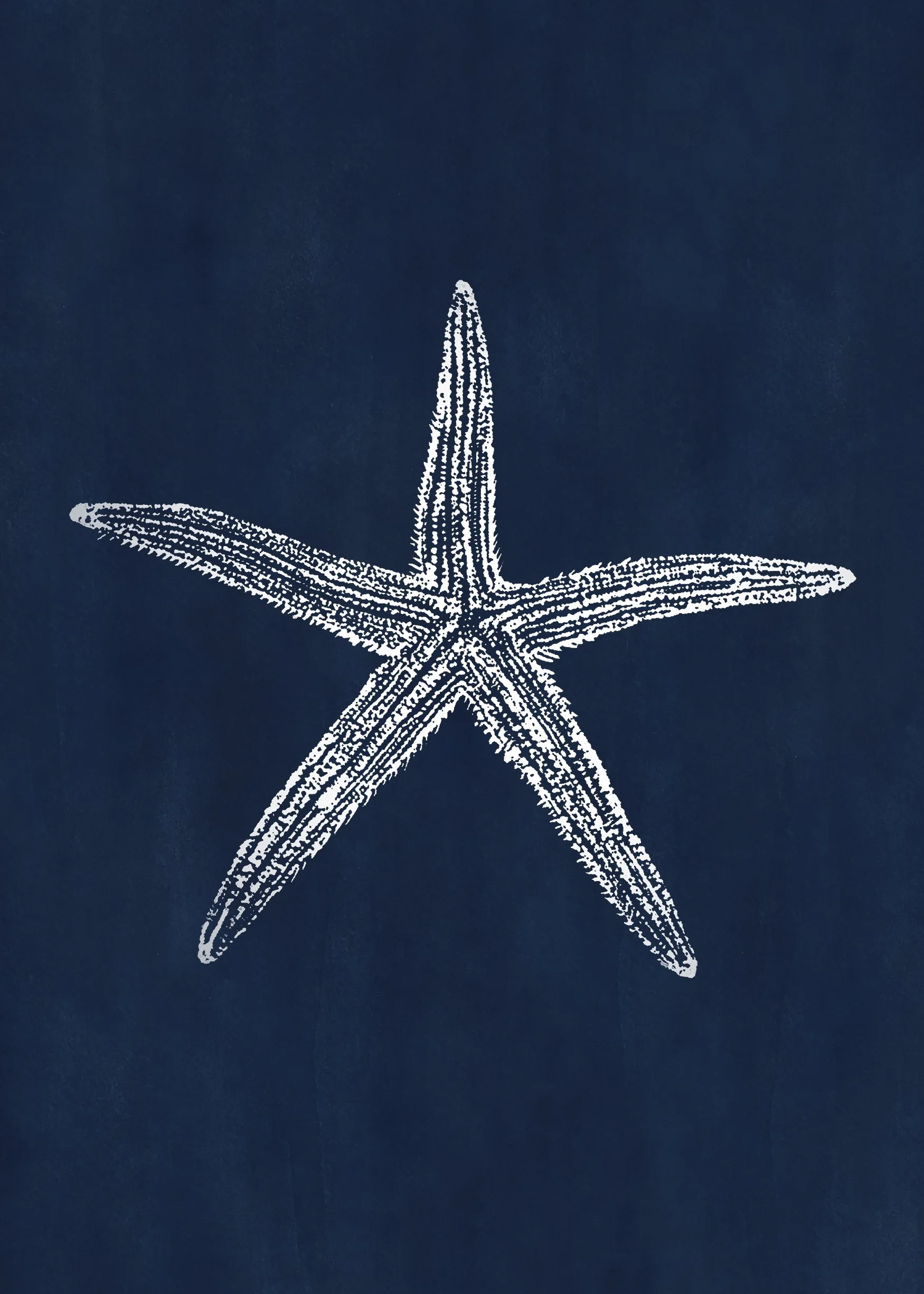 5x7_starfish.jpg