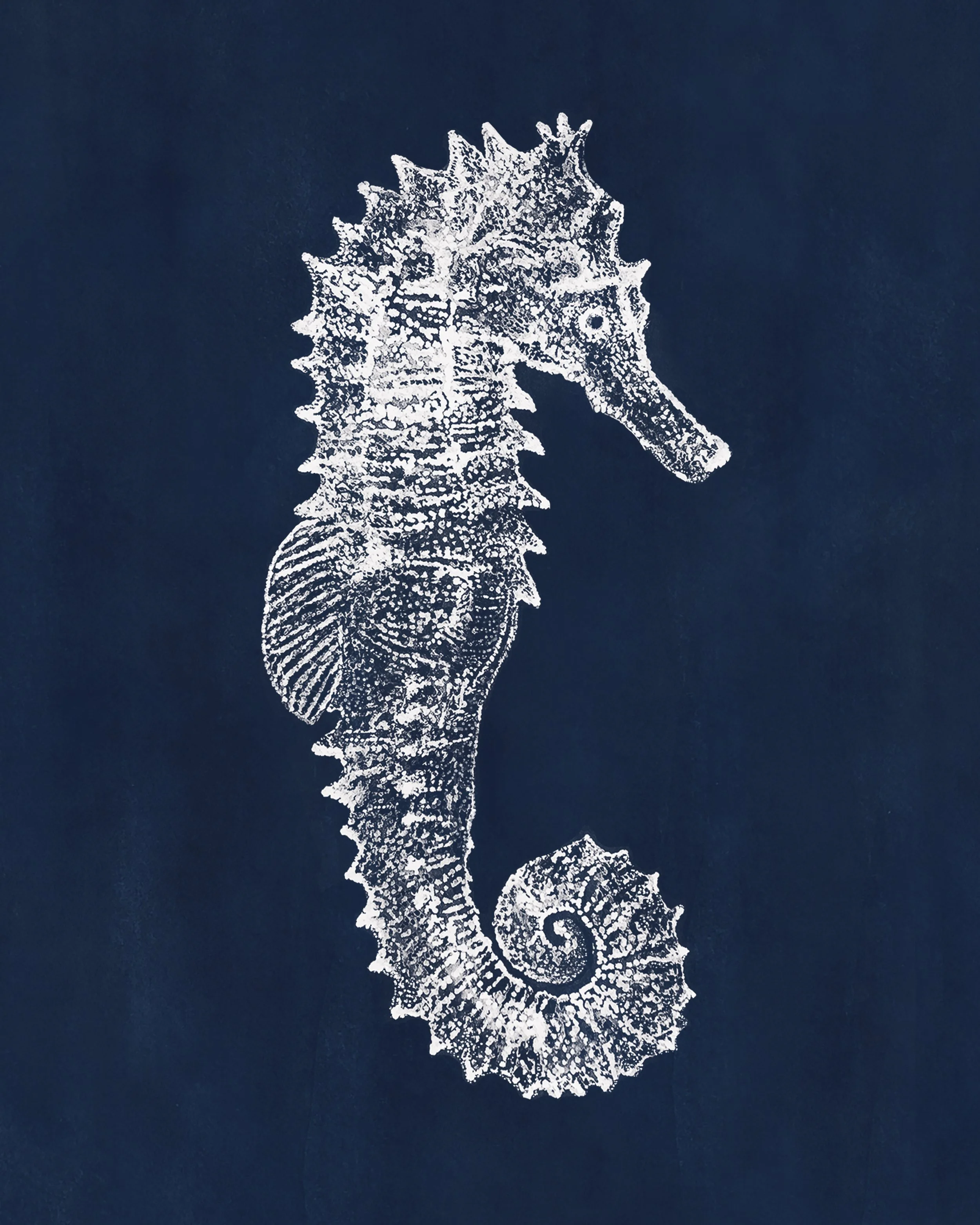 seahorserightfacing_8x10.jpg
