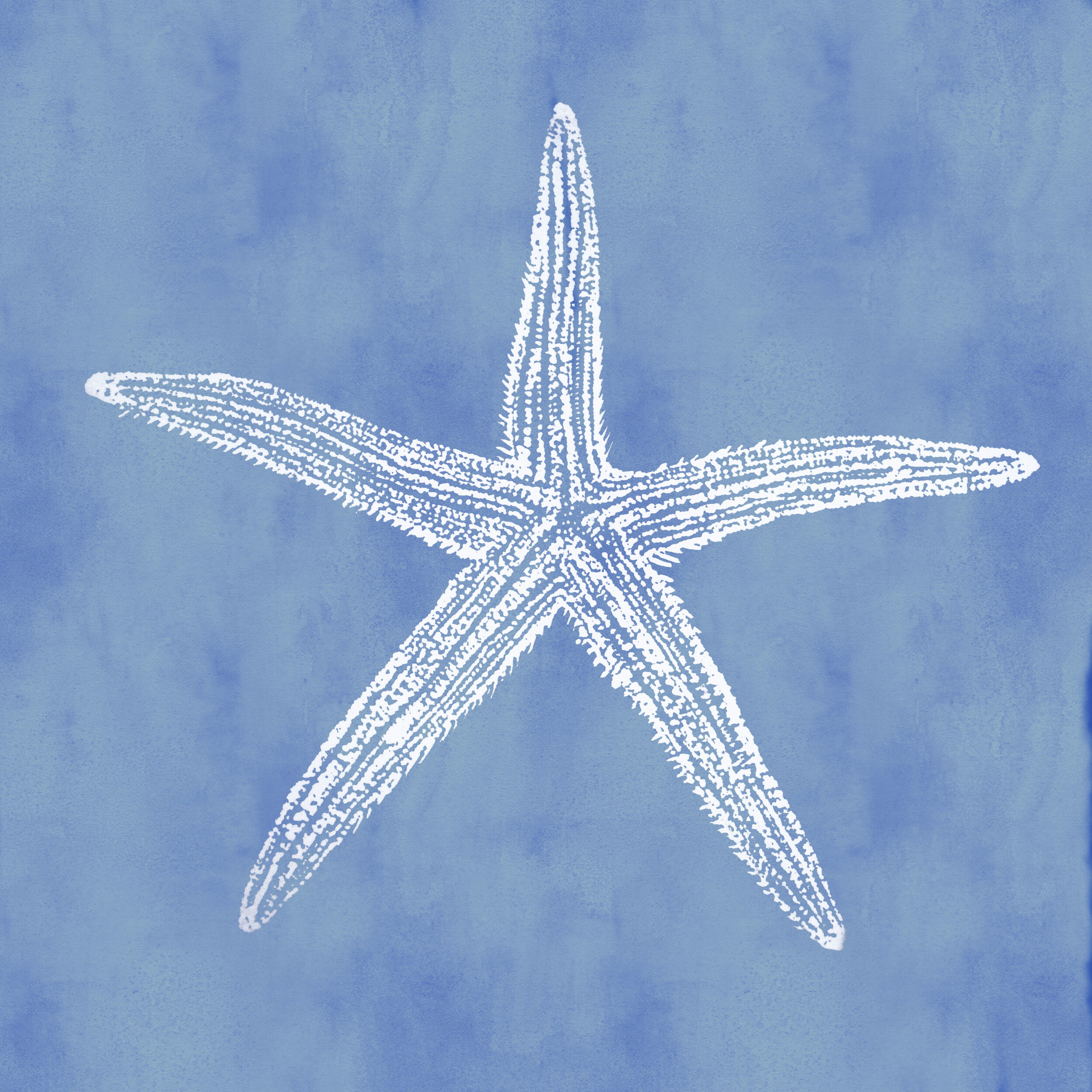 starfishblue.jpg