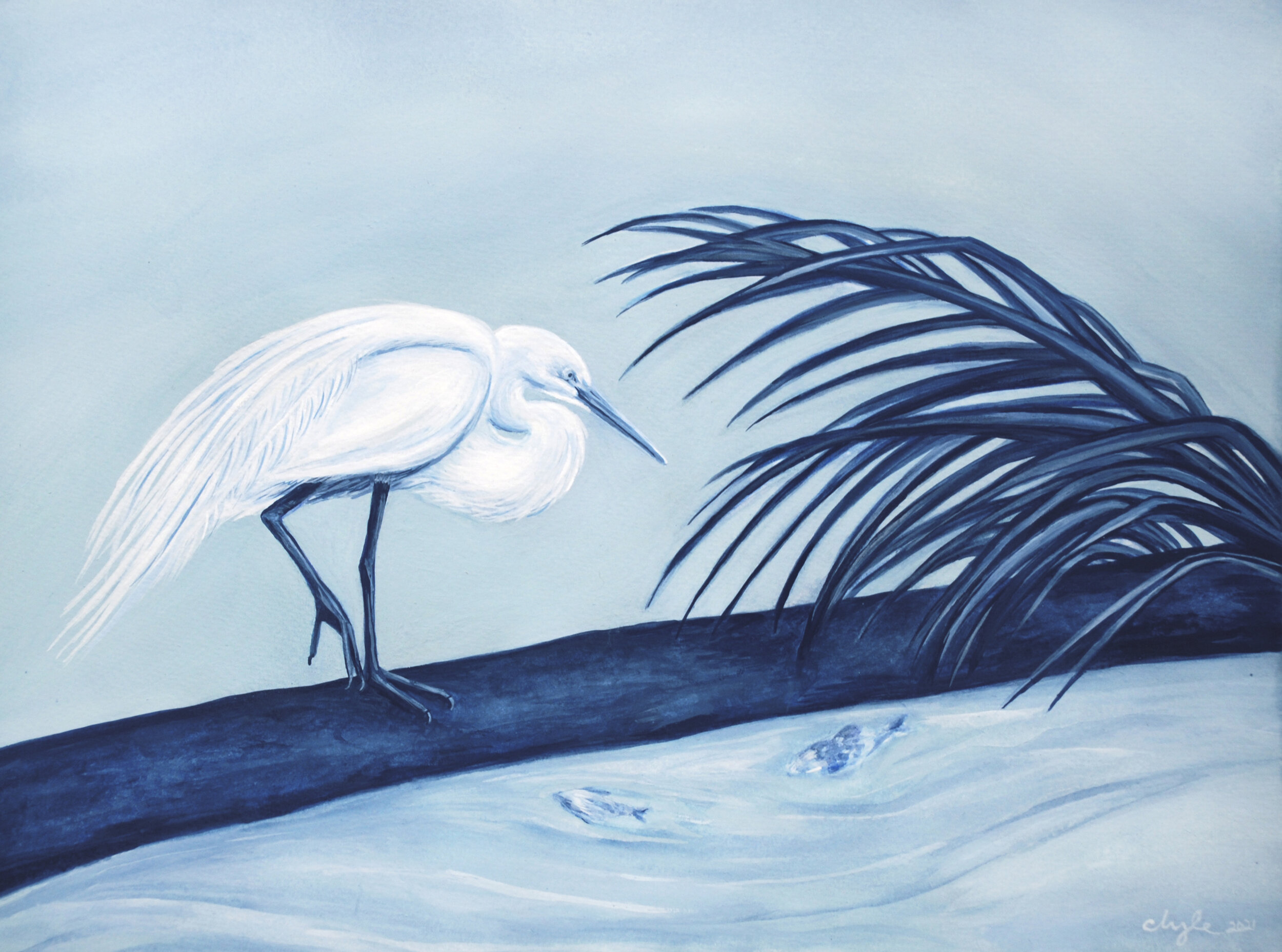 egret_new.jpg