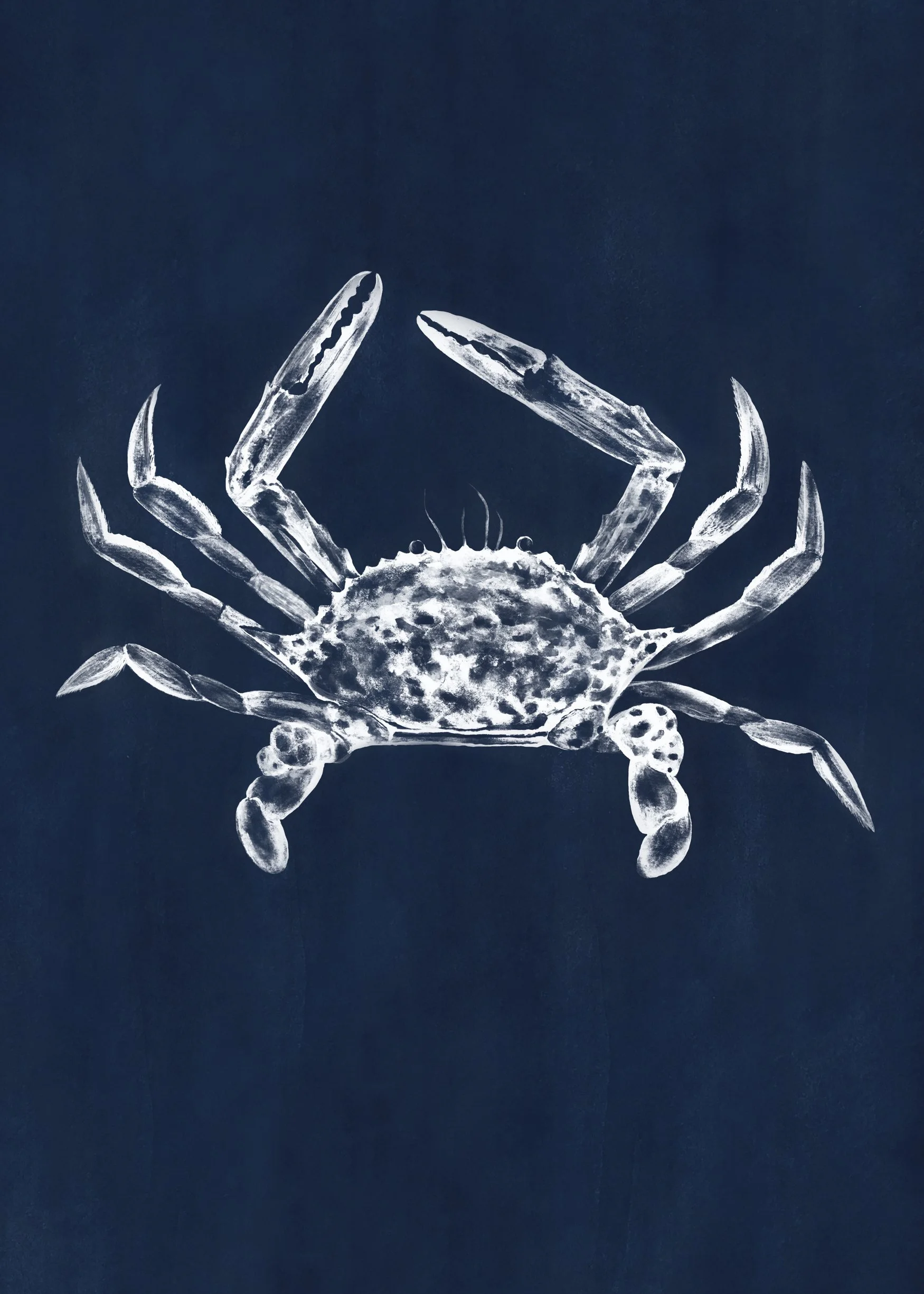 5x7 _crab.jpg