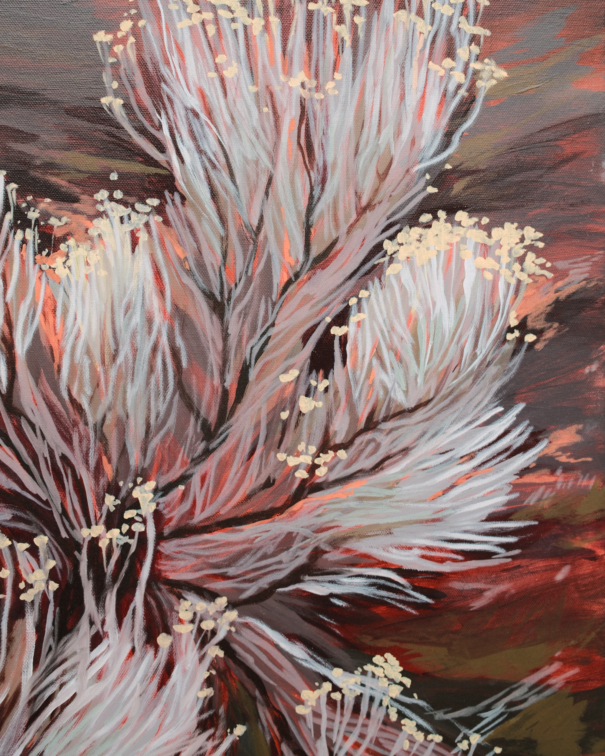any-colour_24x30_3.png