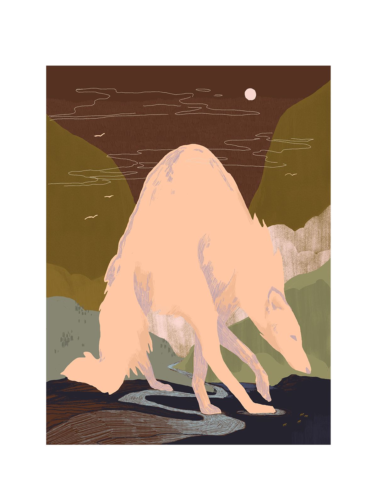 coyote-mountain_main_1.png
