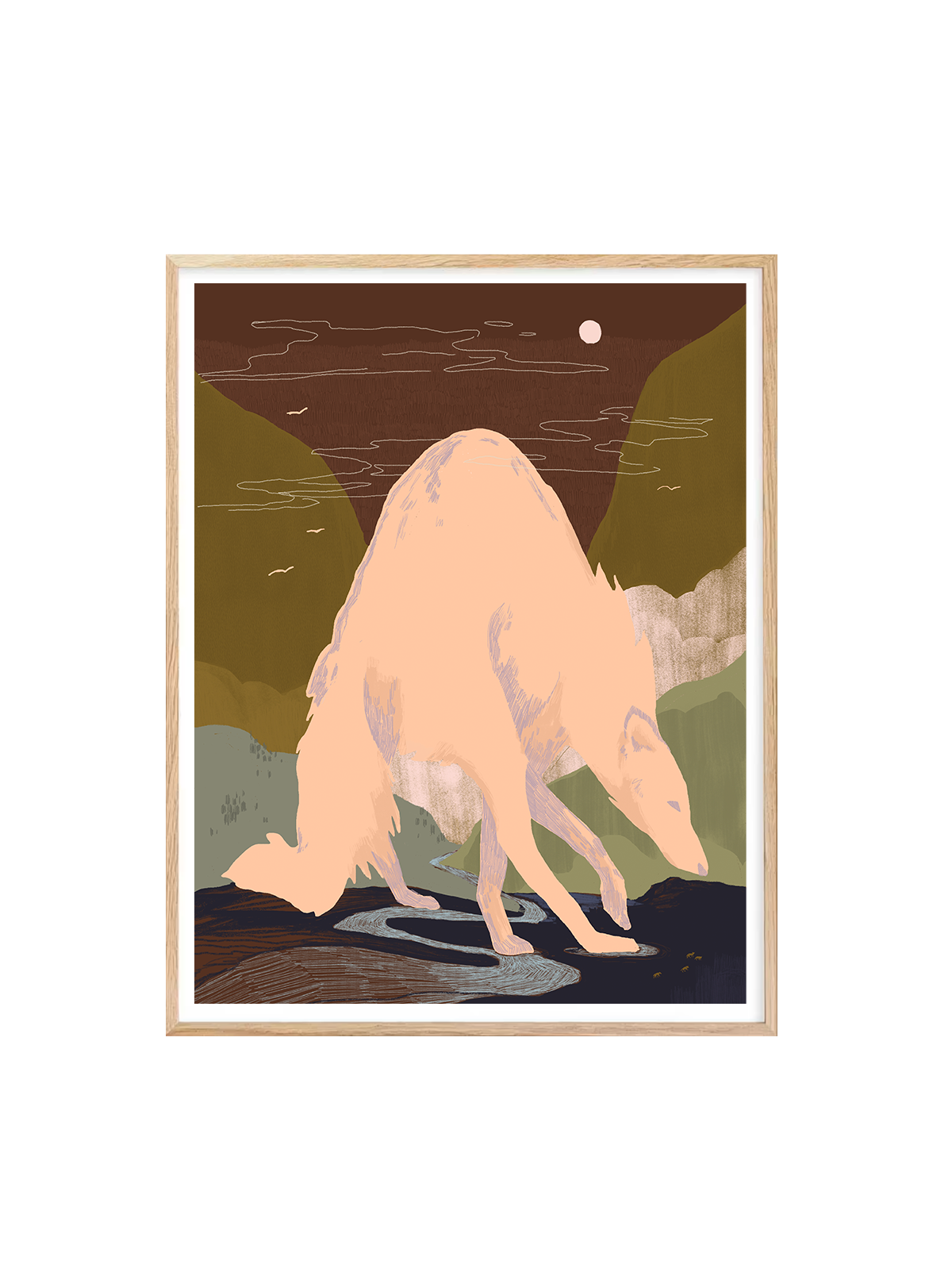 coyote-mountain_main_2.png