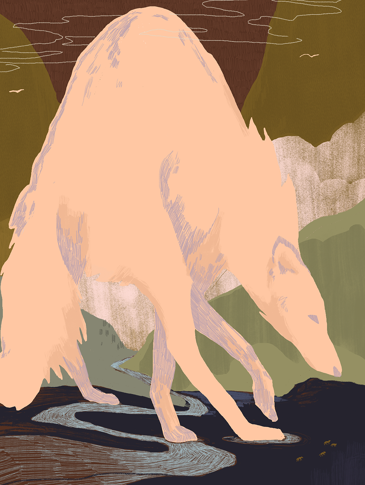 coyote-mountain_main_3.png