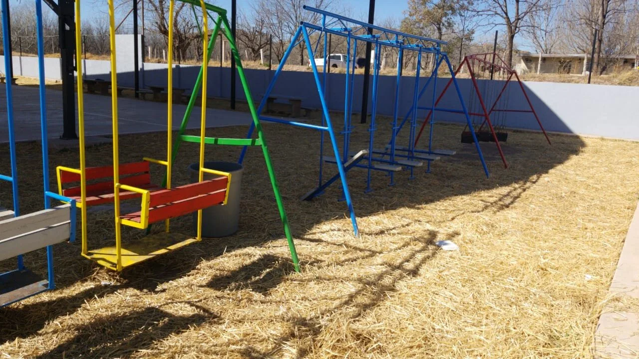 WhatsApp Image 2020-02-02 at 2.51.28 PM.jpeg