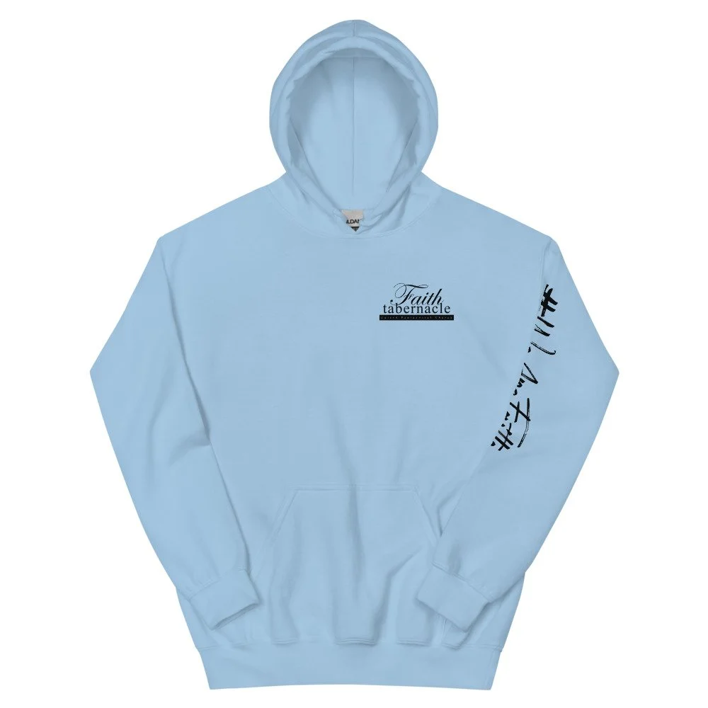 unisex-heavy-blend-hoodie-light-blue-front-627a60367b086.jpg