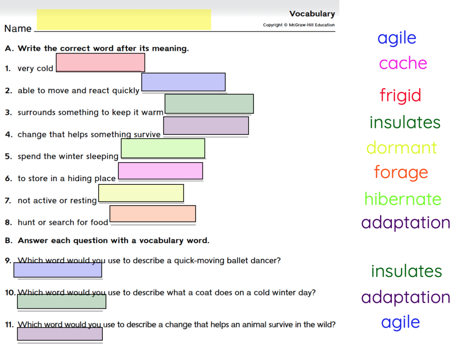 Vocab: color-coded