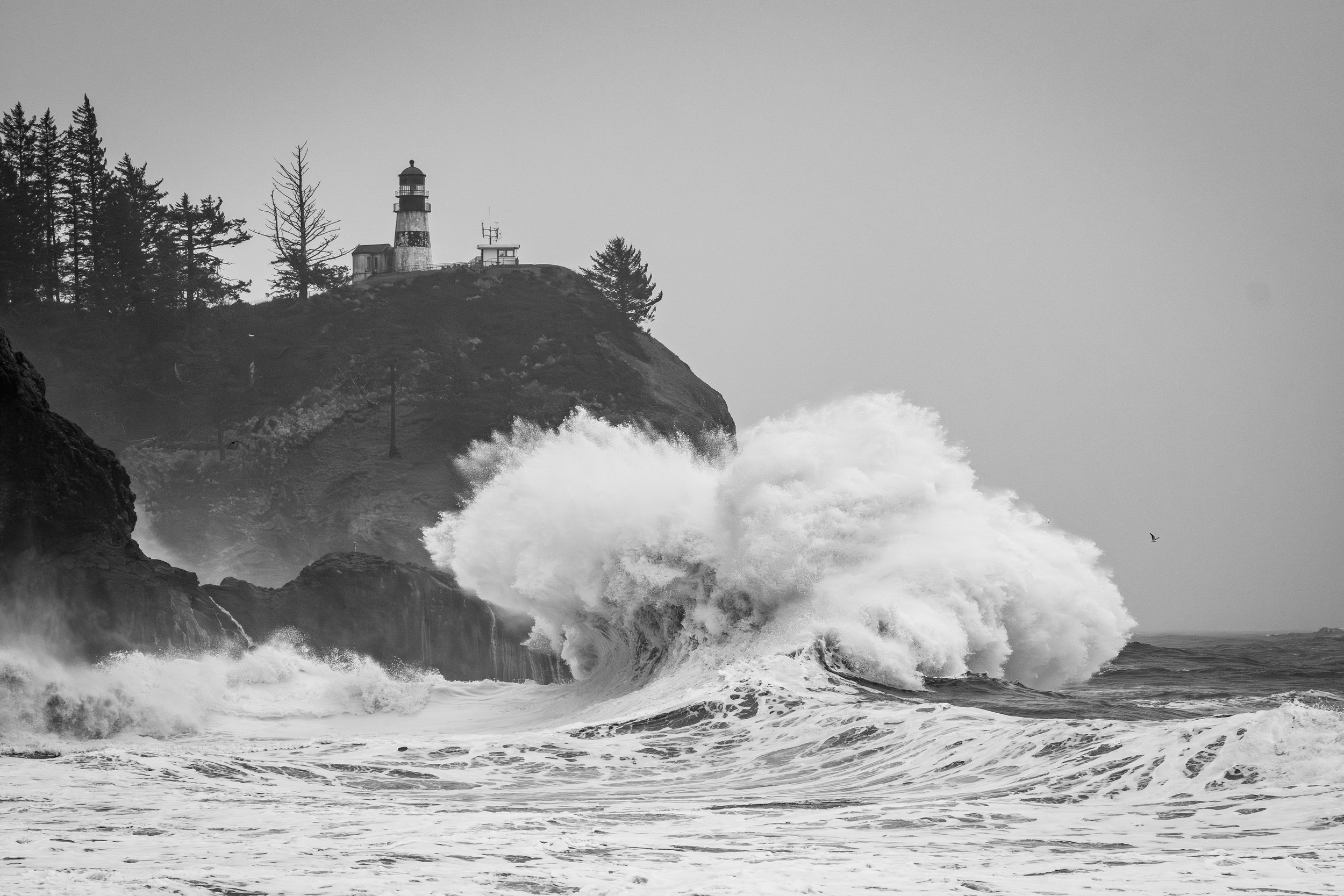 Cape Disappointment Waves-271-Enhanced-NR.jpg