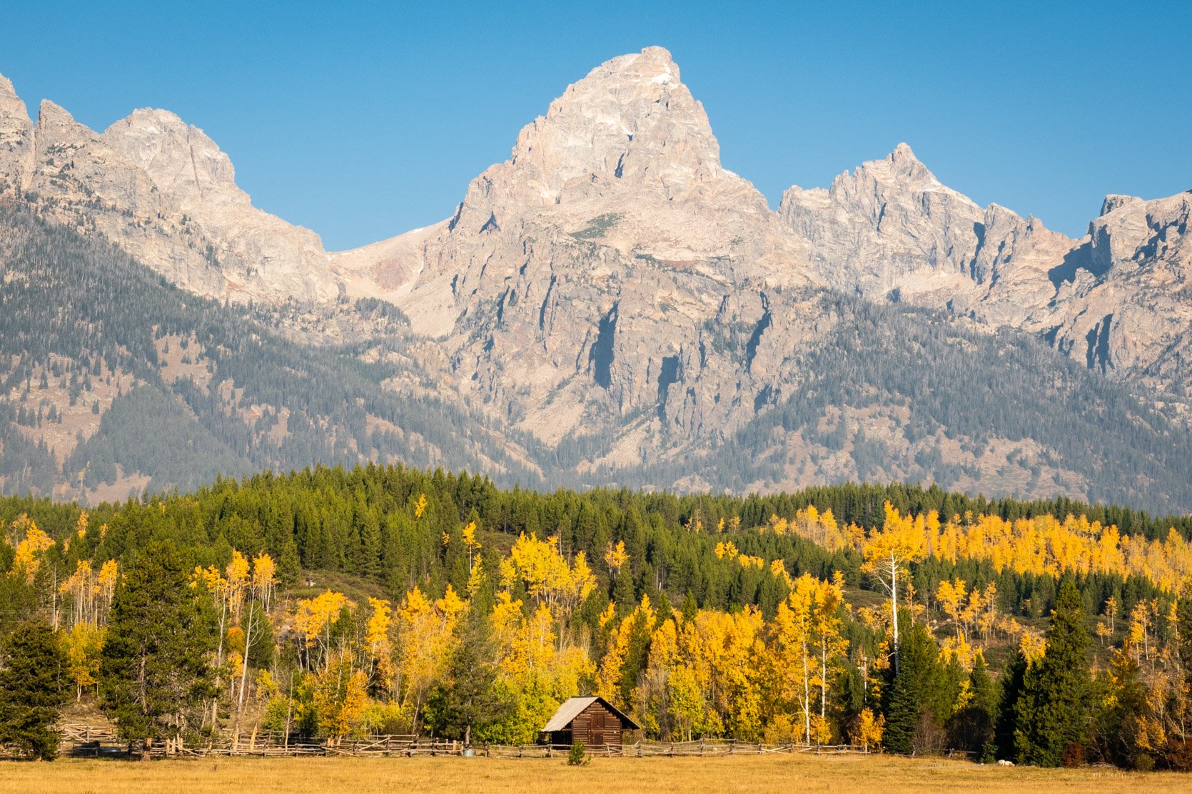 Home on the Range-5.jpg