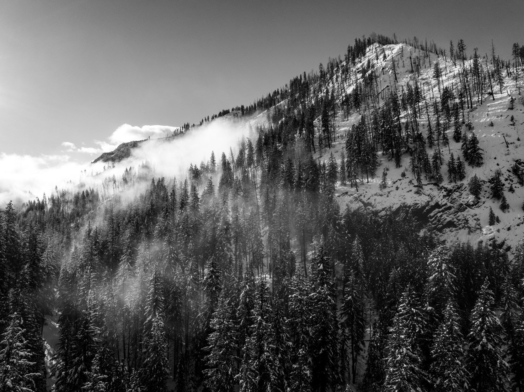 stevens pass winter scaps-5-2.jpg