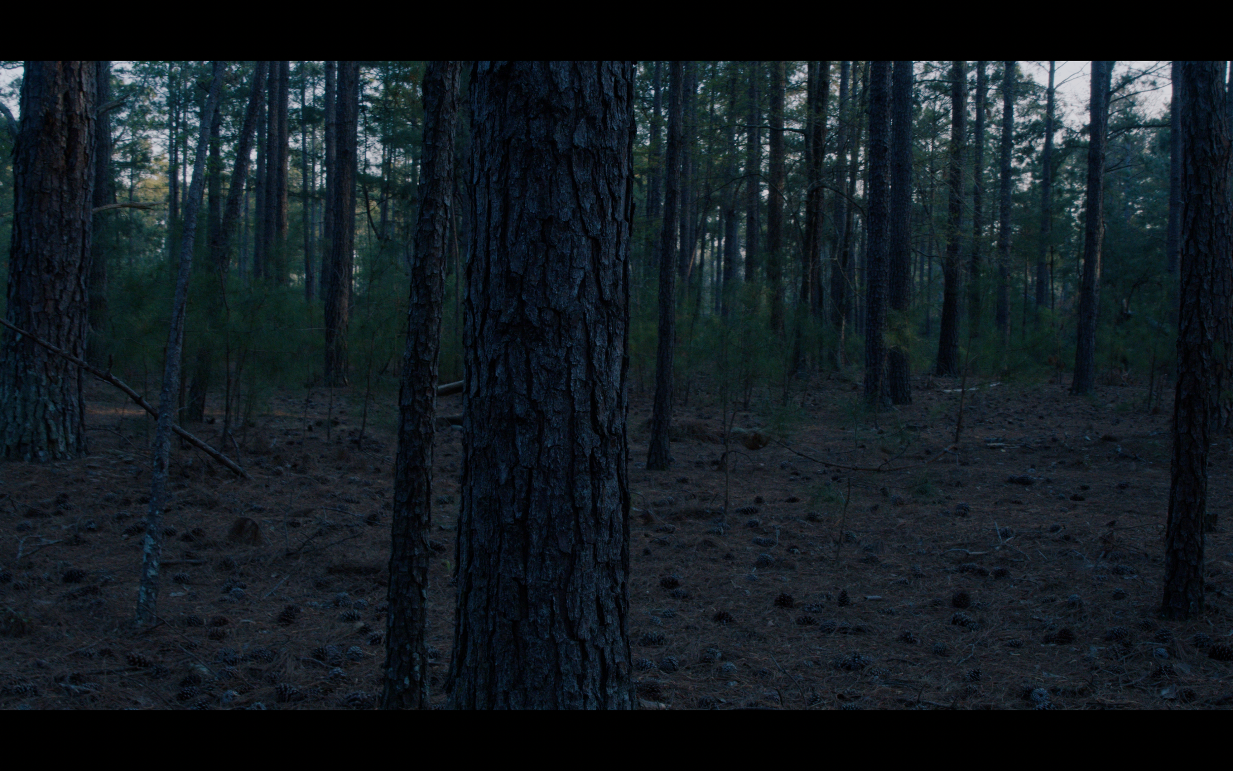 Screenshot 2025-09-10 at 11.28.41 AM.png