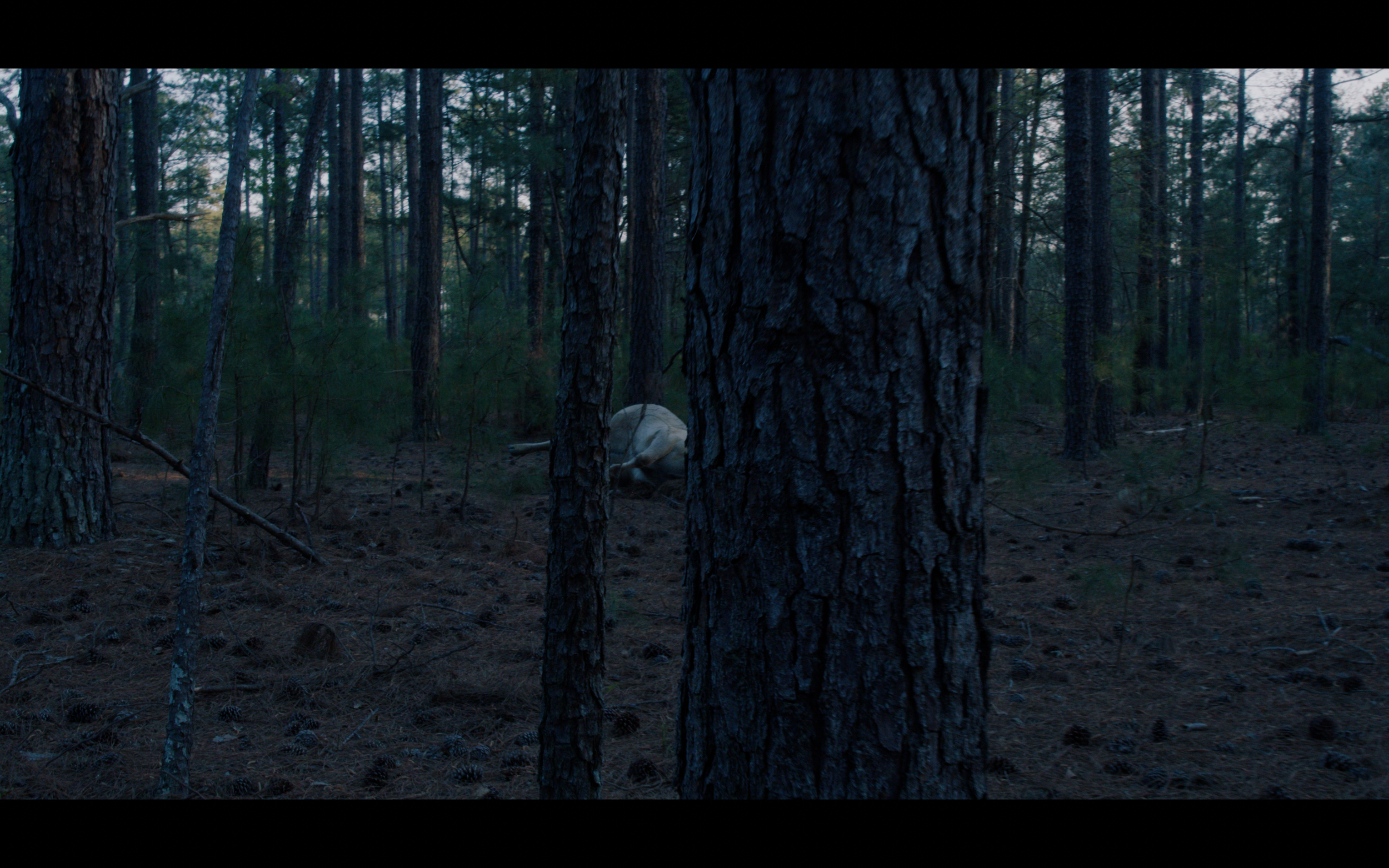 Screenshot 2025-09-10 at 11.28.52 AM.png