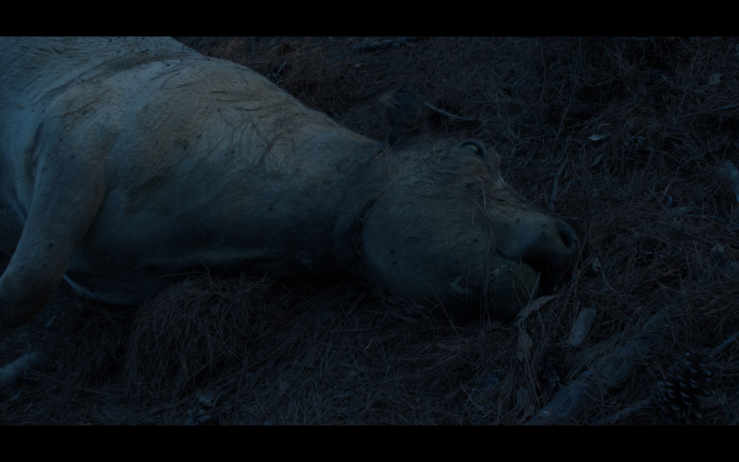 Screenshot 2025-09-10 at 11.32.21 AM.png