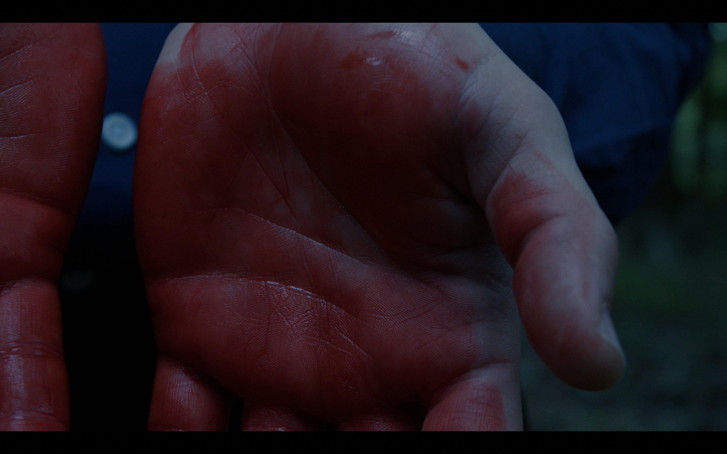 Screenshot 2025-09-11 at 3.17.36 AM.png