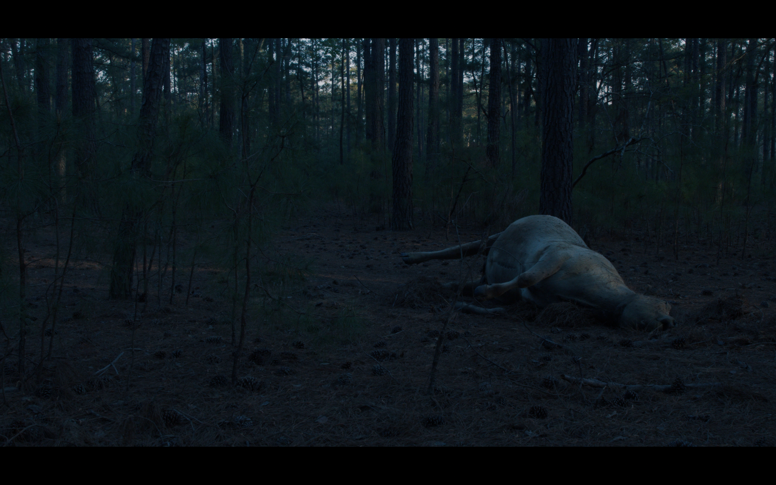 Screenshot 2025-09-10 at 11.25.50 AM.png