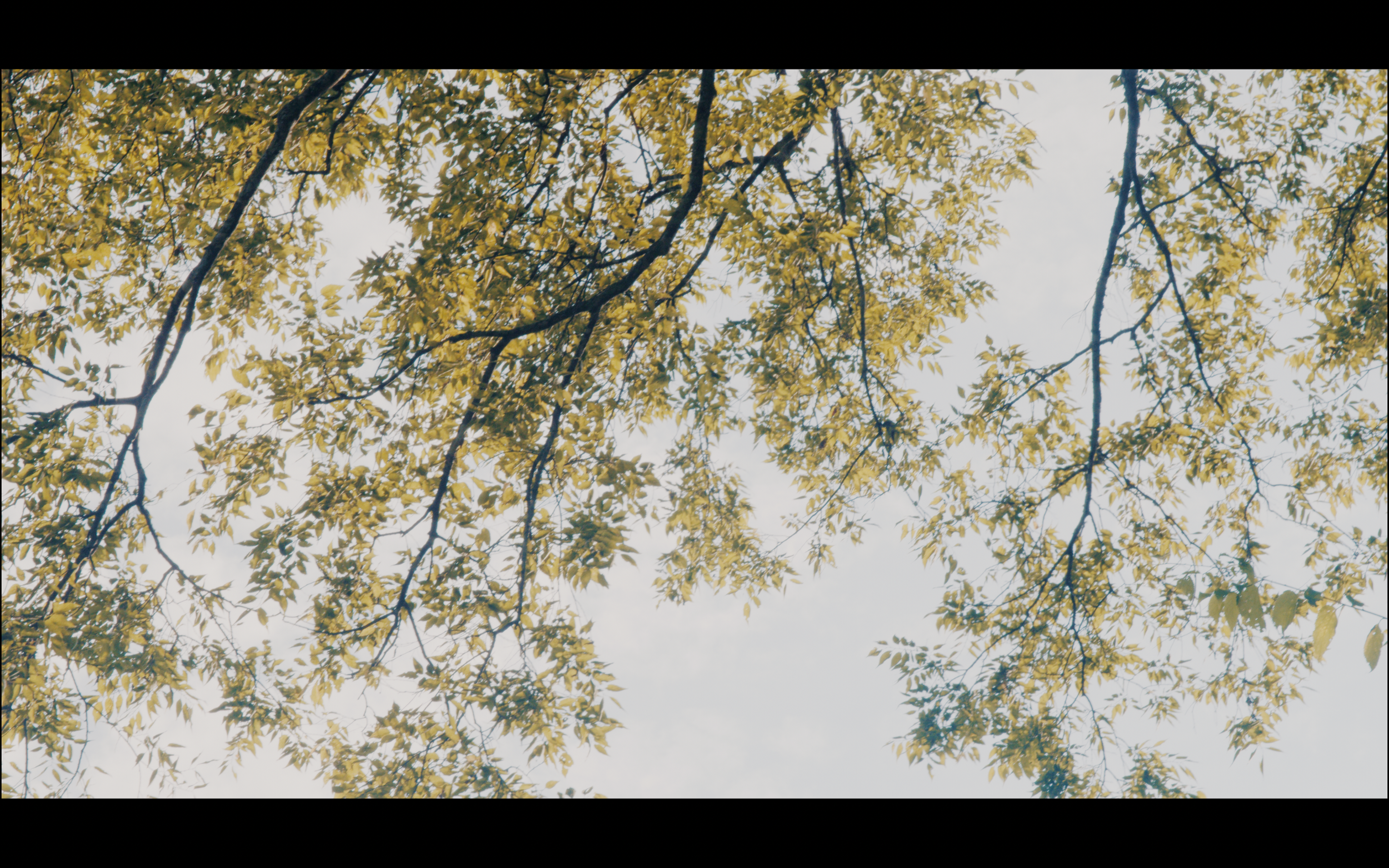 Screenshot 2025-09-10 at 3.29.50 AM.png