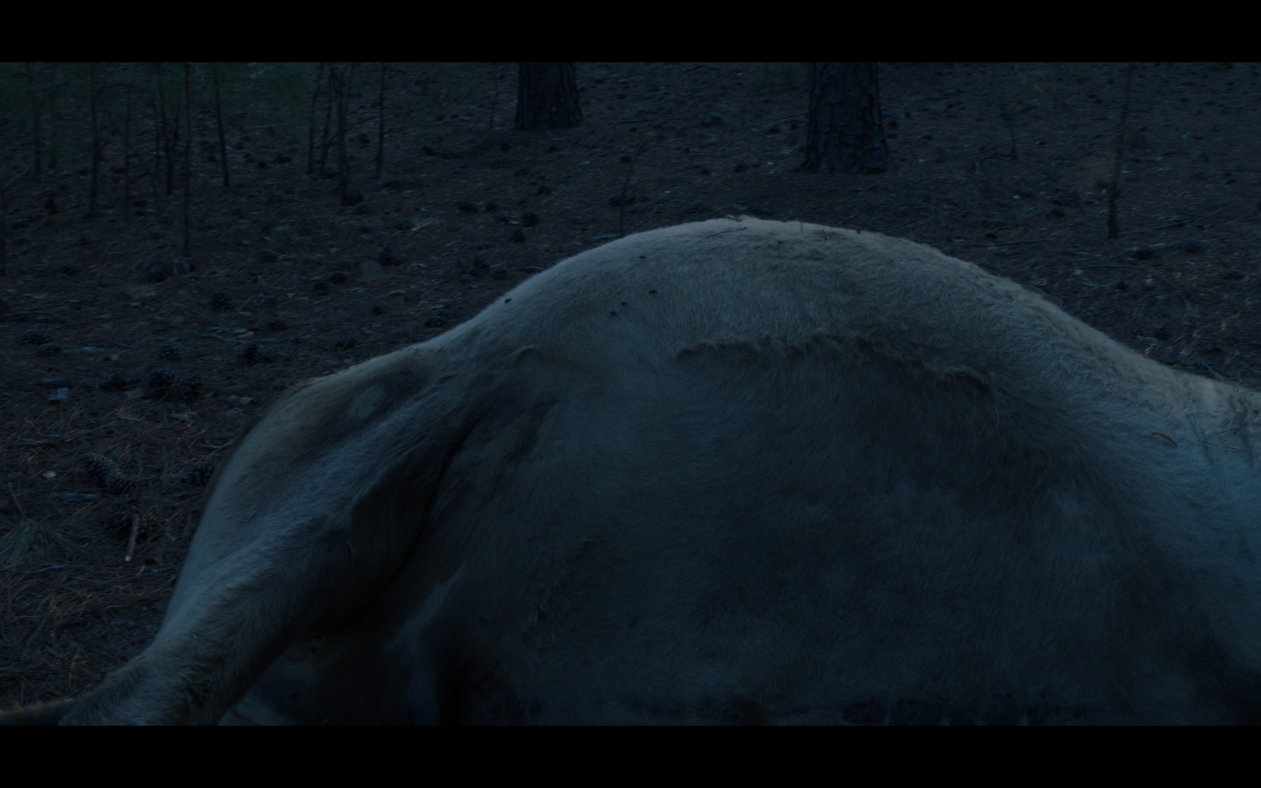 Screenshot 2025-09-10 at 11.31.52 AM.png