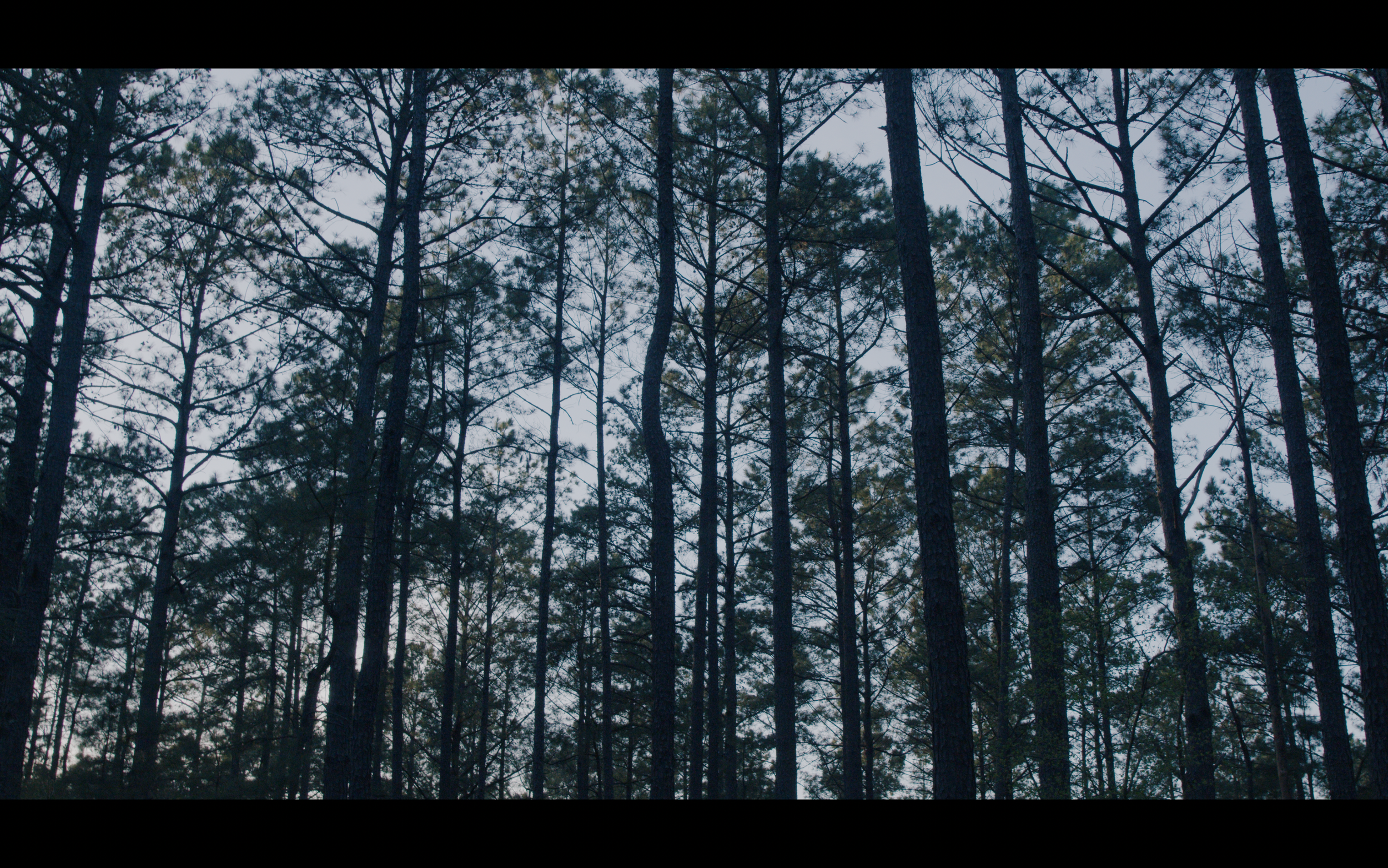 Screenshot 2025-09-10 at 11.26.37 AM.png