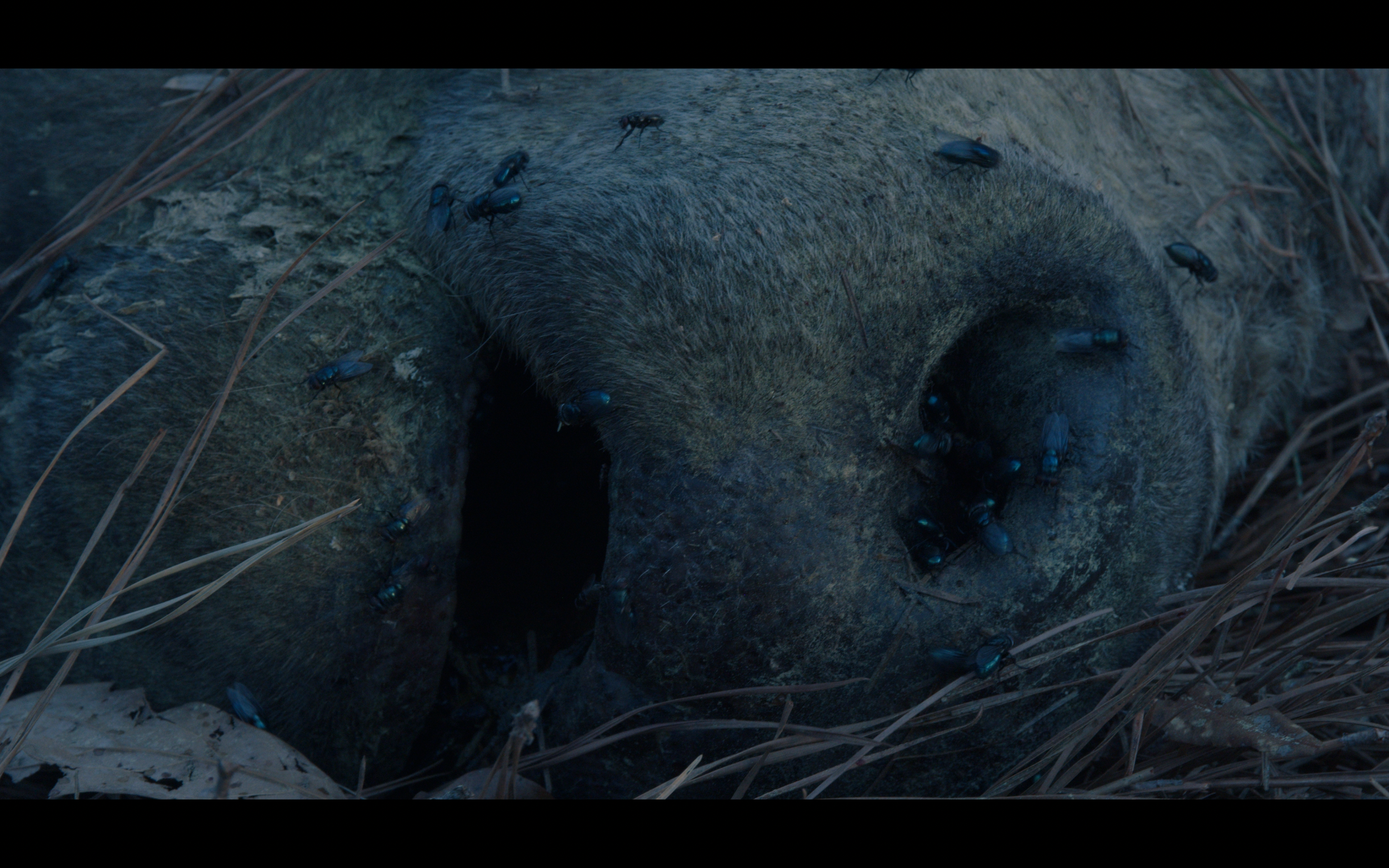 Screenshot 2025-09-10 at 11.33.06 AM.png