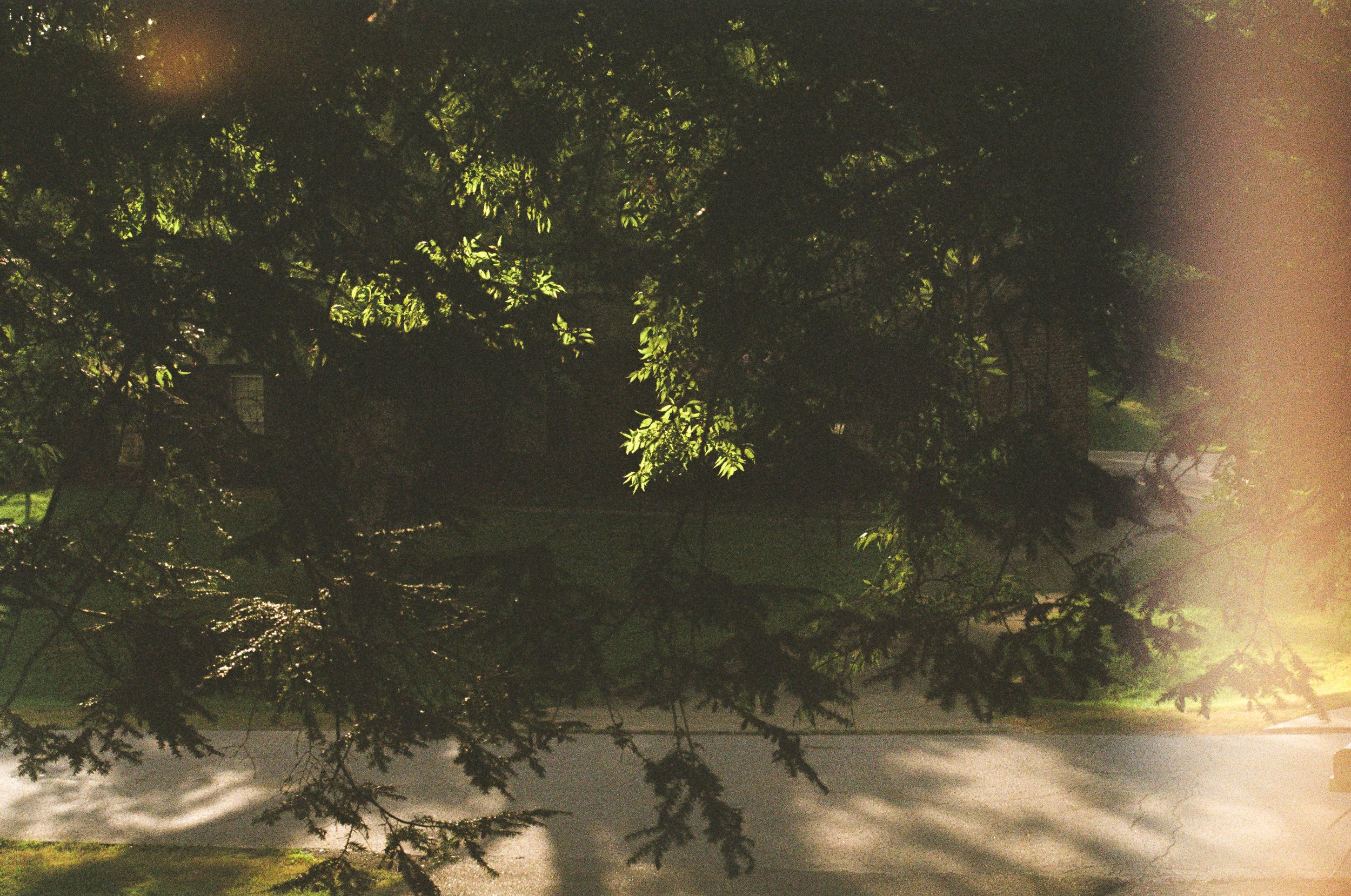 4319_0028.jpg