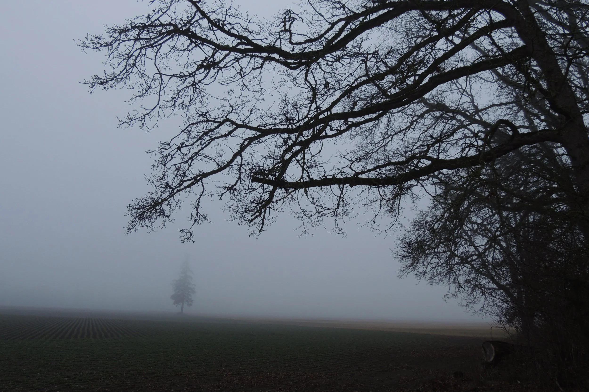 Month of January, When the Snow and Frost are All Over