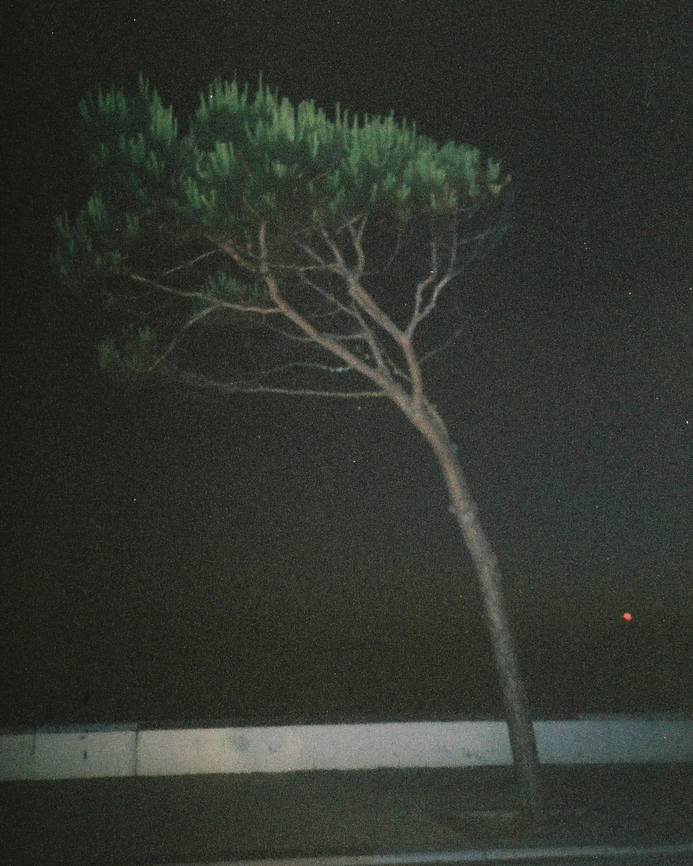 000042.png
