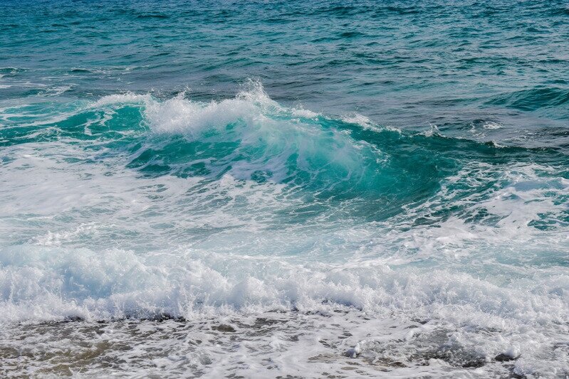Canva+-+Ocean+Wave.jpg