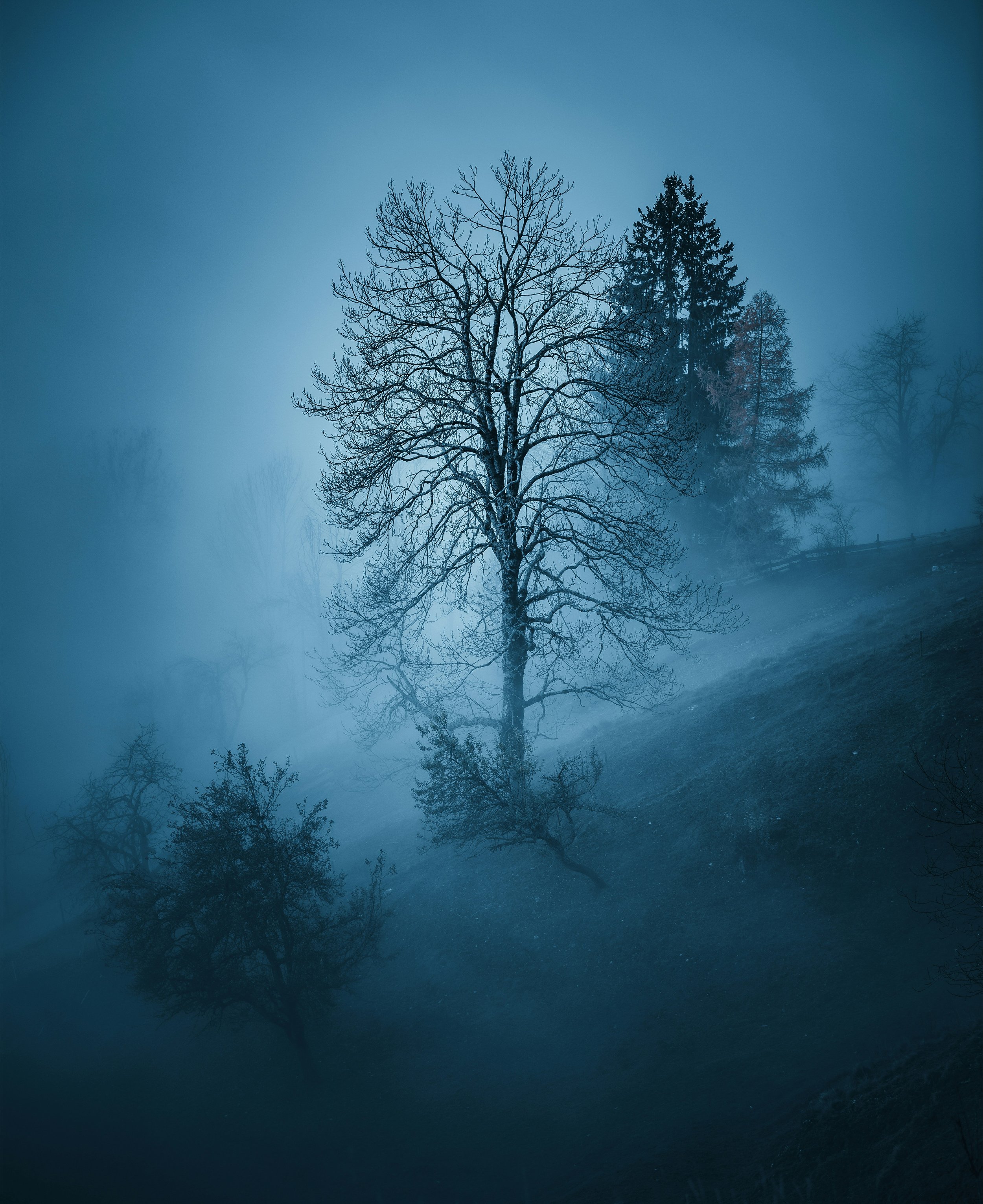 The Invasion of Peace