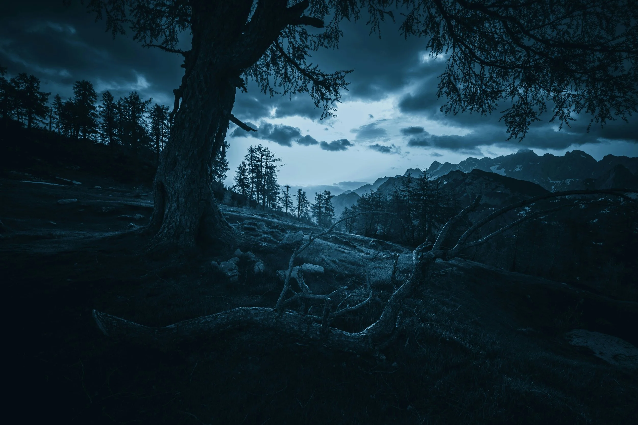 The Peace Beneath Everything